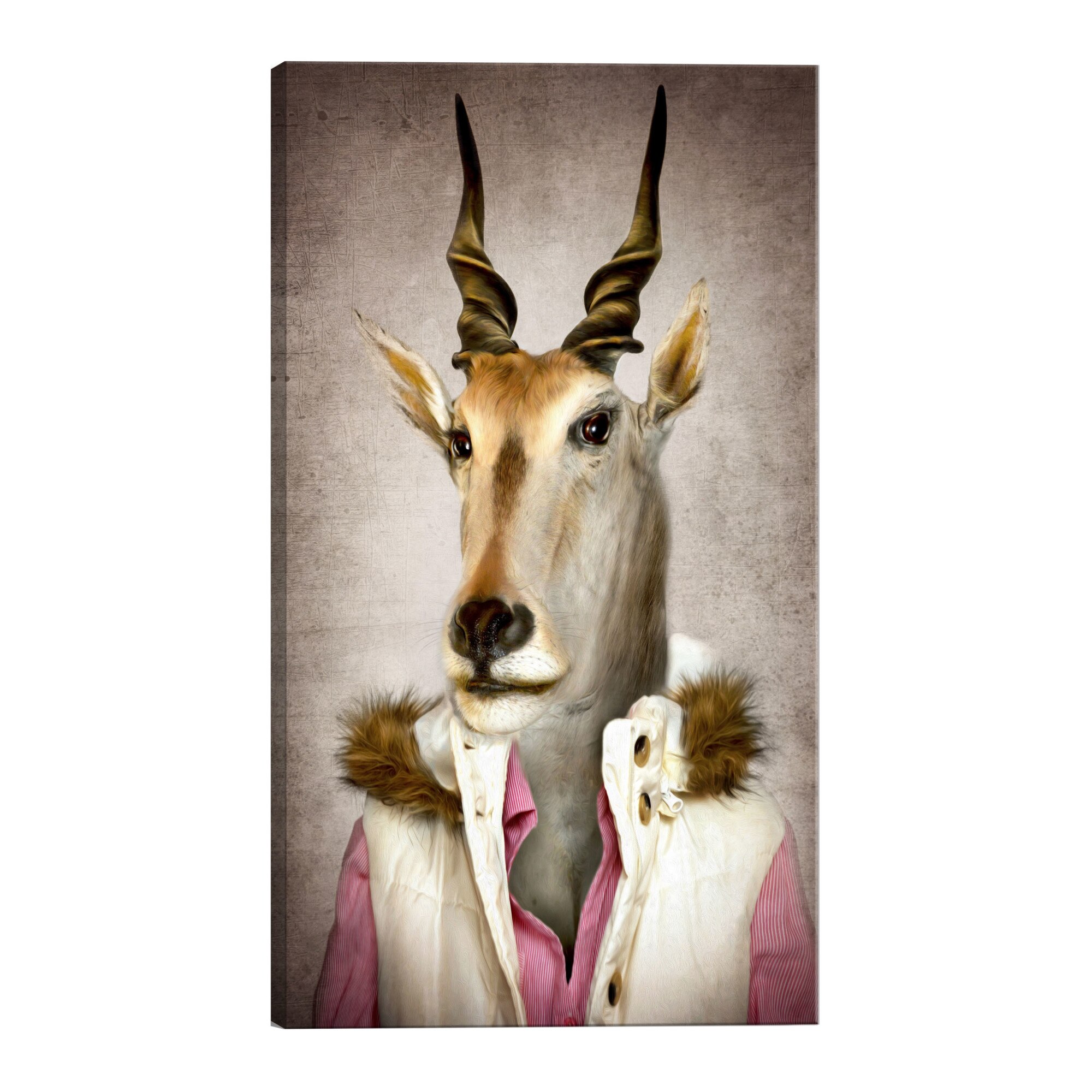 Tablou canvas - Antilope Jessica - 40 x 60 cm