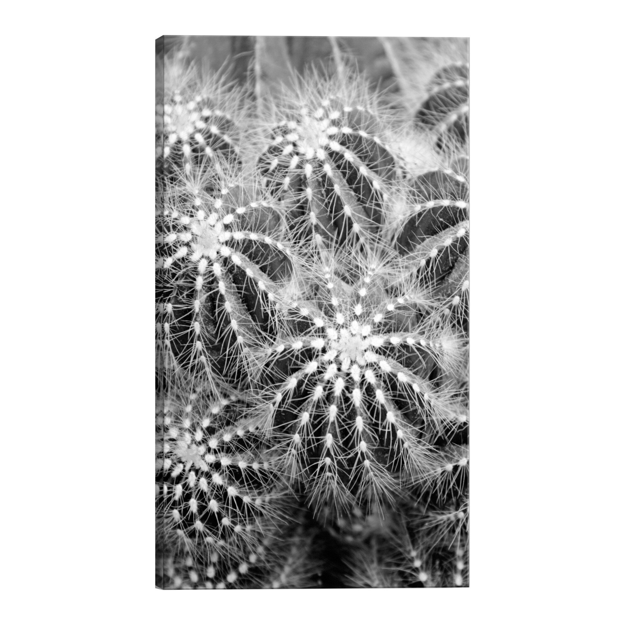 Tablou canvas - Aventura riscanta - 80 x 120 cm