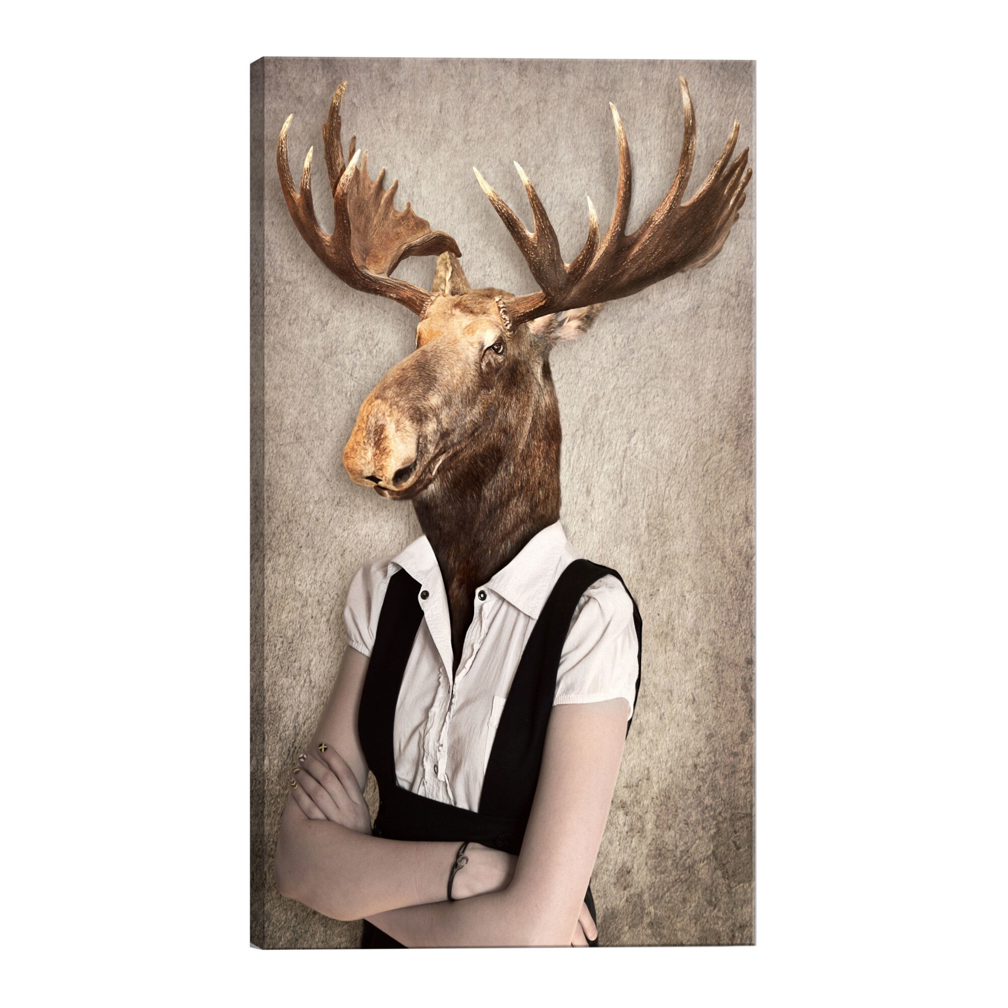 Tablou canvas - Brainy Moose - 80 x 120 cm