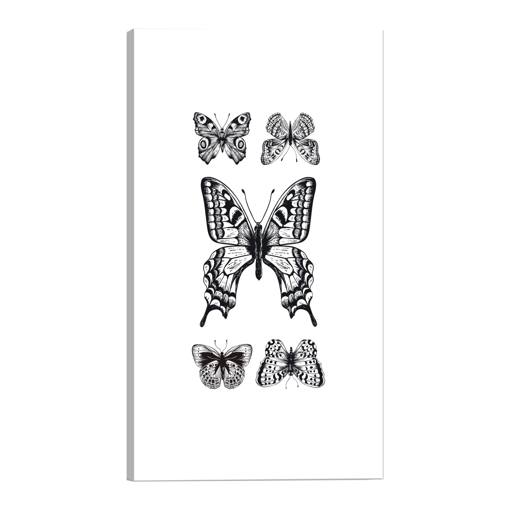 Tablou canvas - Cinci fluturi - 40 x 60 cm