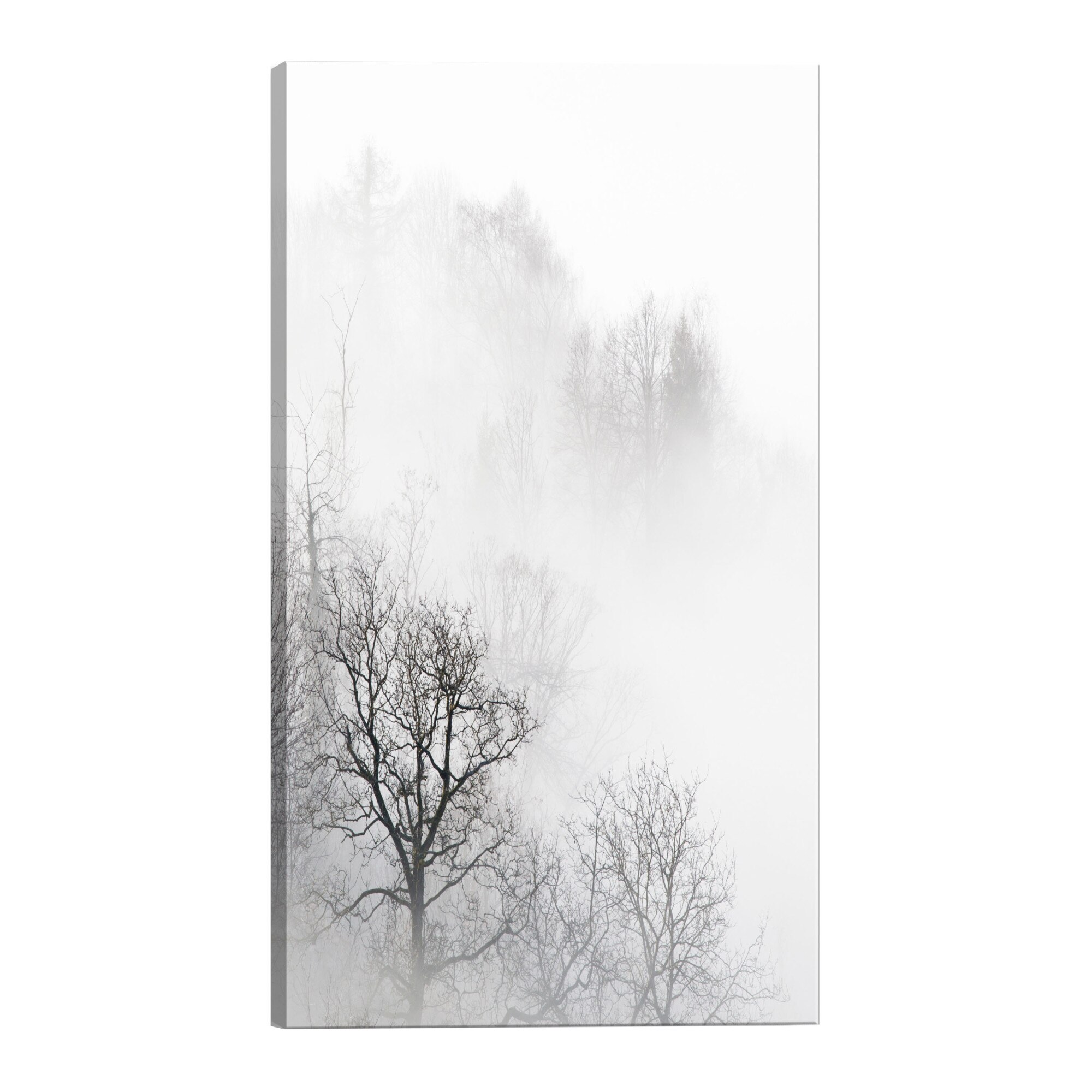 Tablou canvas - Copaci in ceata - 80 x 120 cm