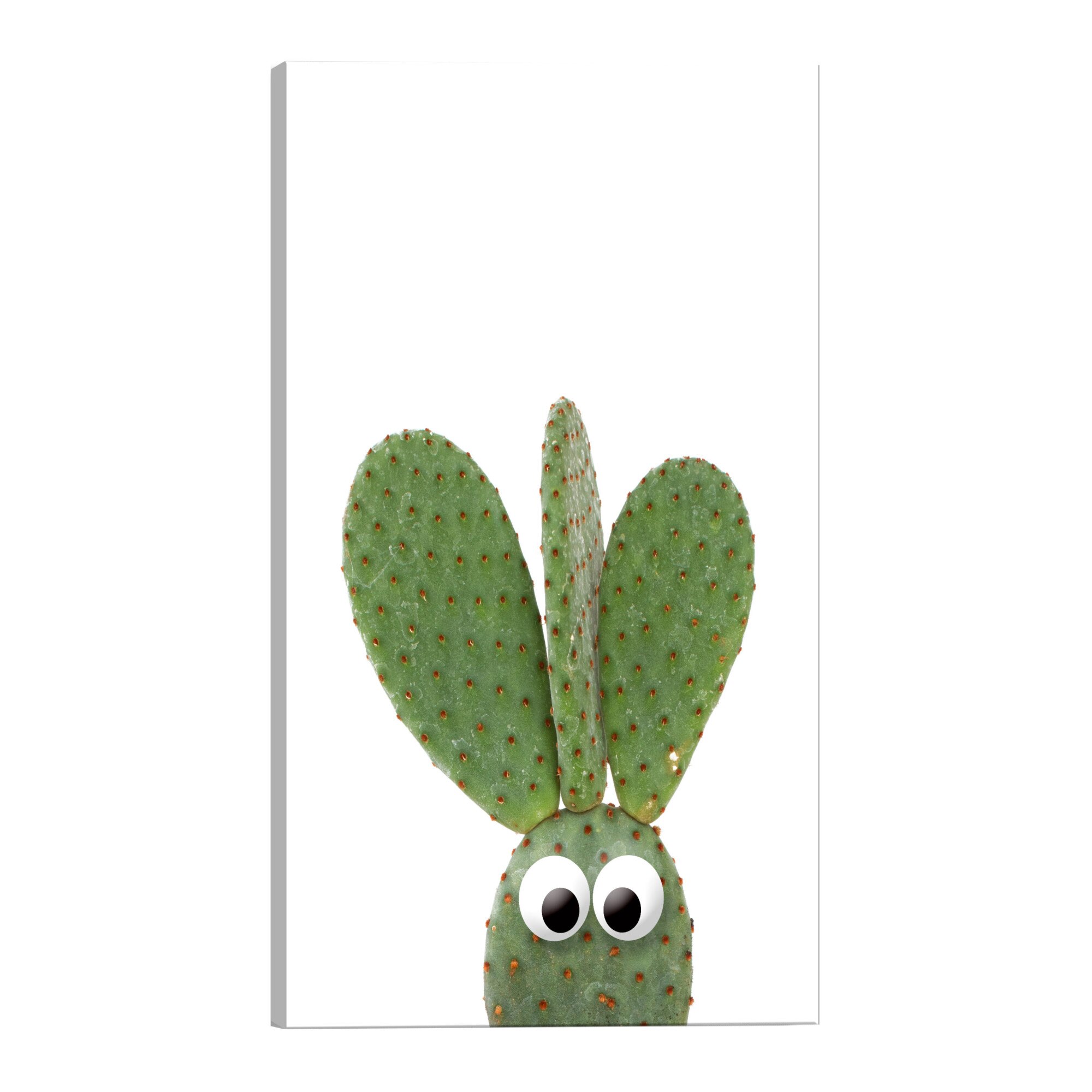 Tablou canvas - Ear Cactus - 40 x 60 cm