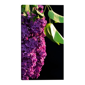 Tablou canvas - Culori de primavara - 80 x 120 cm Tablou canvas - Culori de primavara - 80 x 120 cm