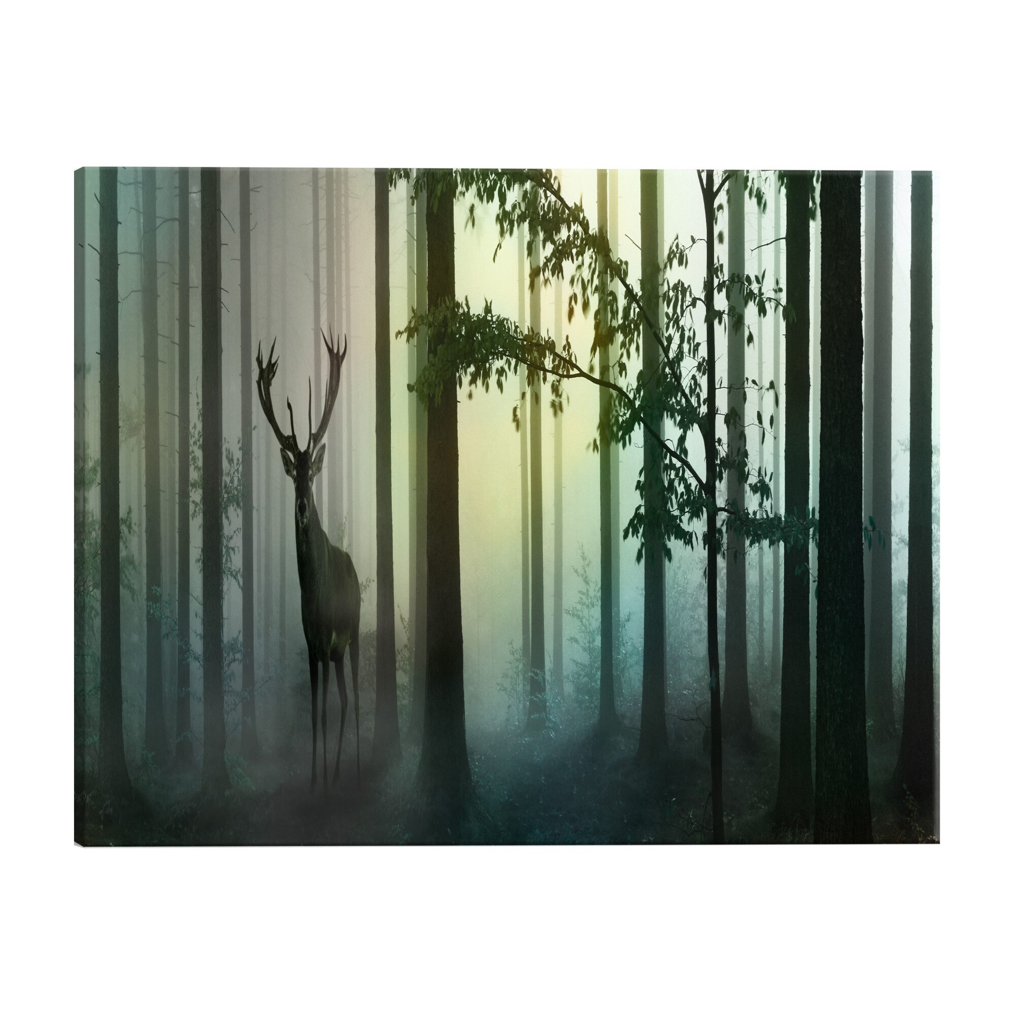 Tablou canvas - Dimineata - 150 x 50 cm