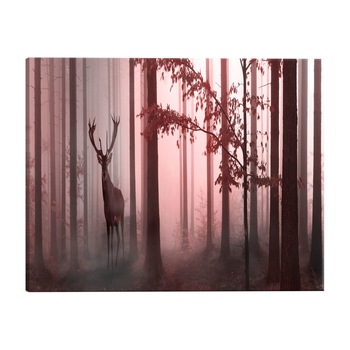 Tablou canvas - Dimineata 1 - 135 x 45 cm Tablou canvas - Dimineata 1 - 135 x 45 cm
