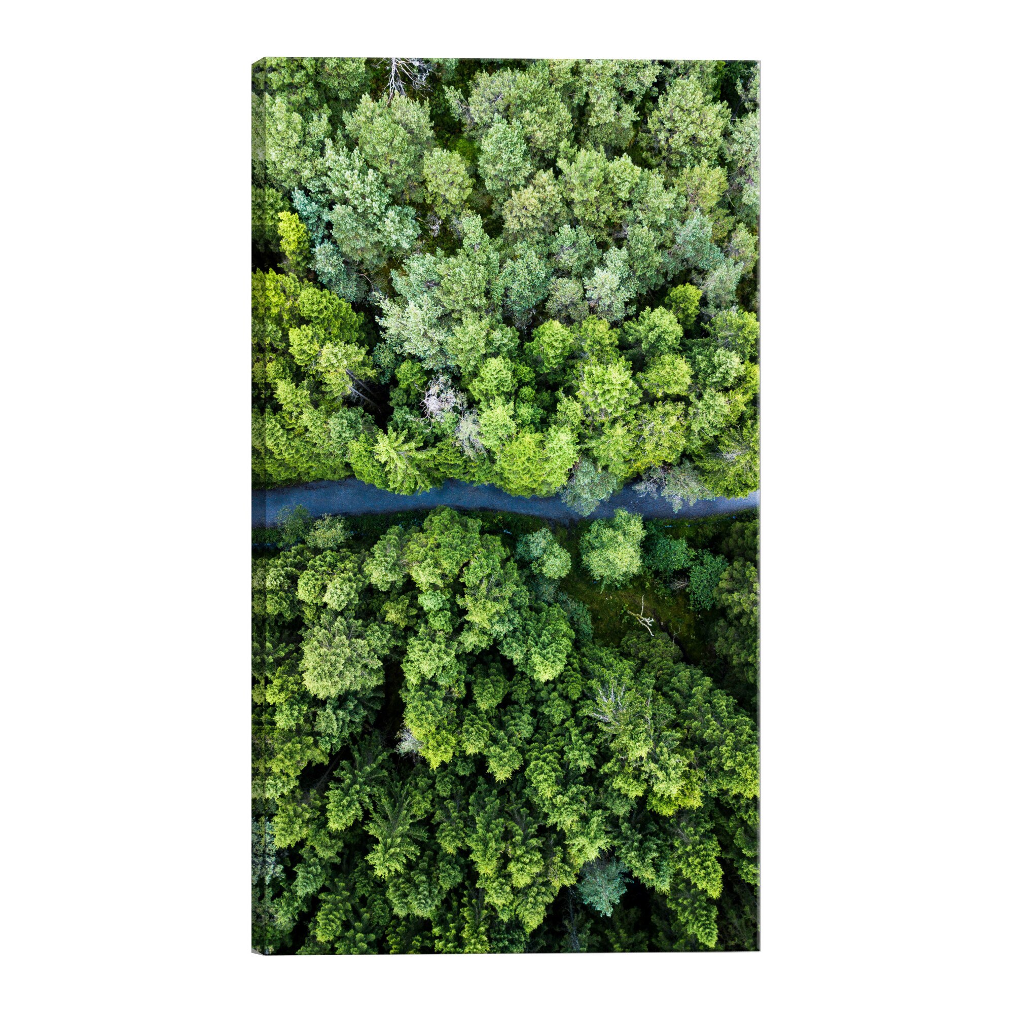 Tablou canvas - Drum prin padure - 40 x 60 cm