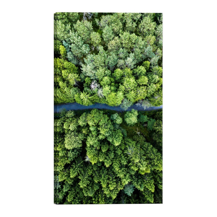 Tablou canvas - Drum prin padure - 80 x 120 cm