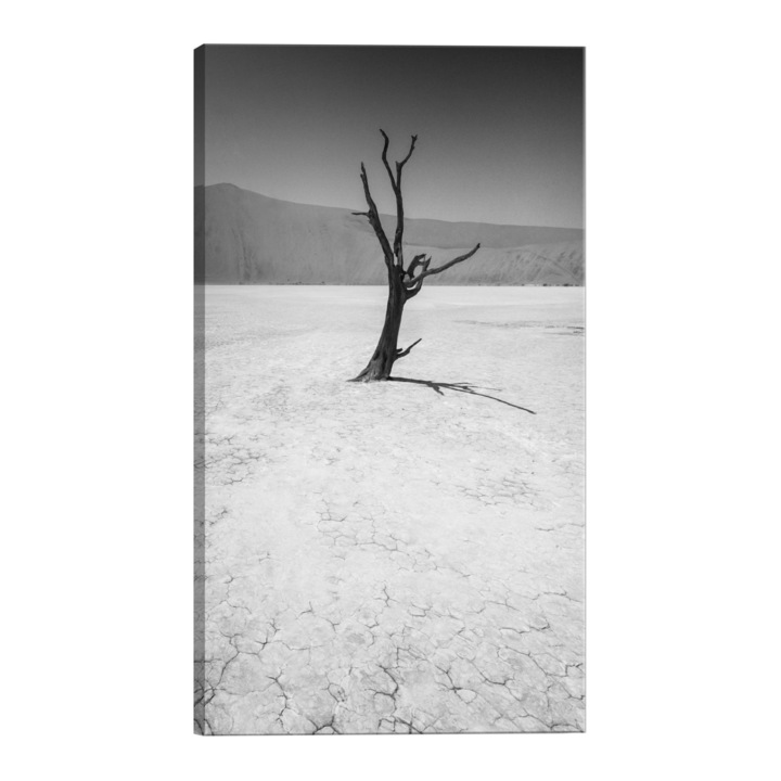 Tablou canvas - Arbore in desert - 80 x 120 cm