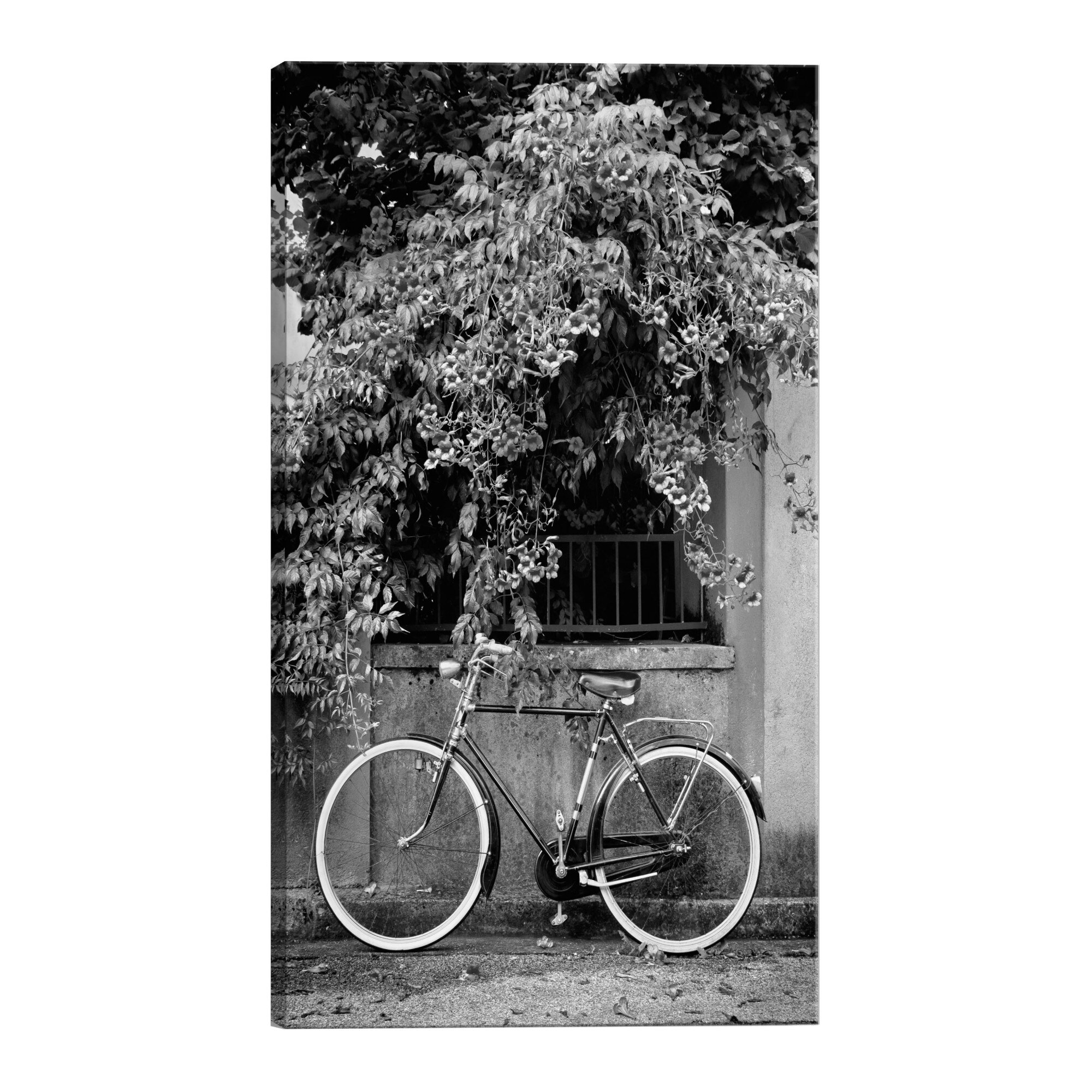Tablou canvas - Bicicleta si flori - 80 x 120 cm