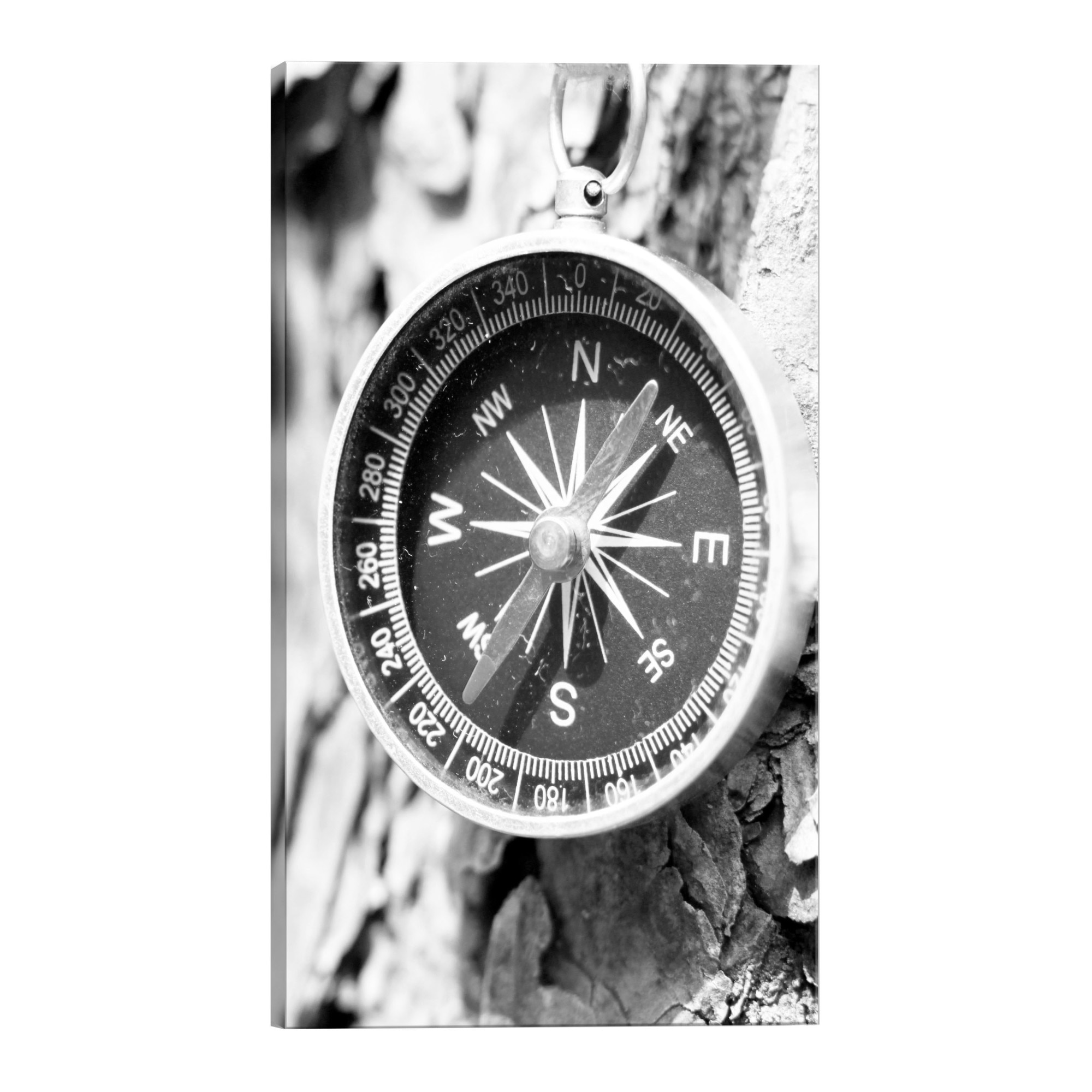 Tablou canvas - Busola alb-negru - 80 x 120 cm