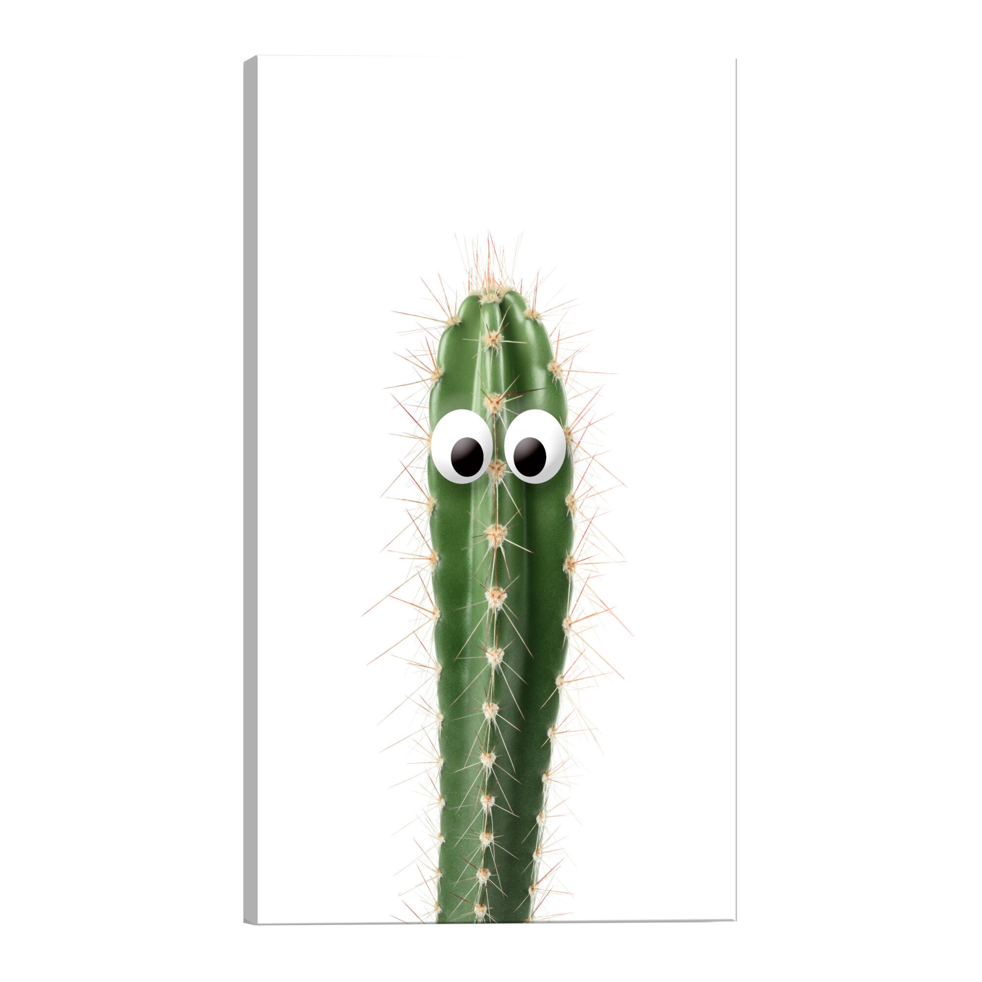 Tablou canvas - Cactus viu - 40 x 60 cm