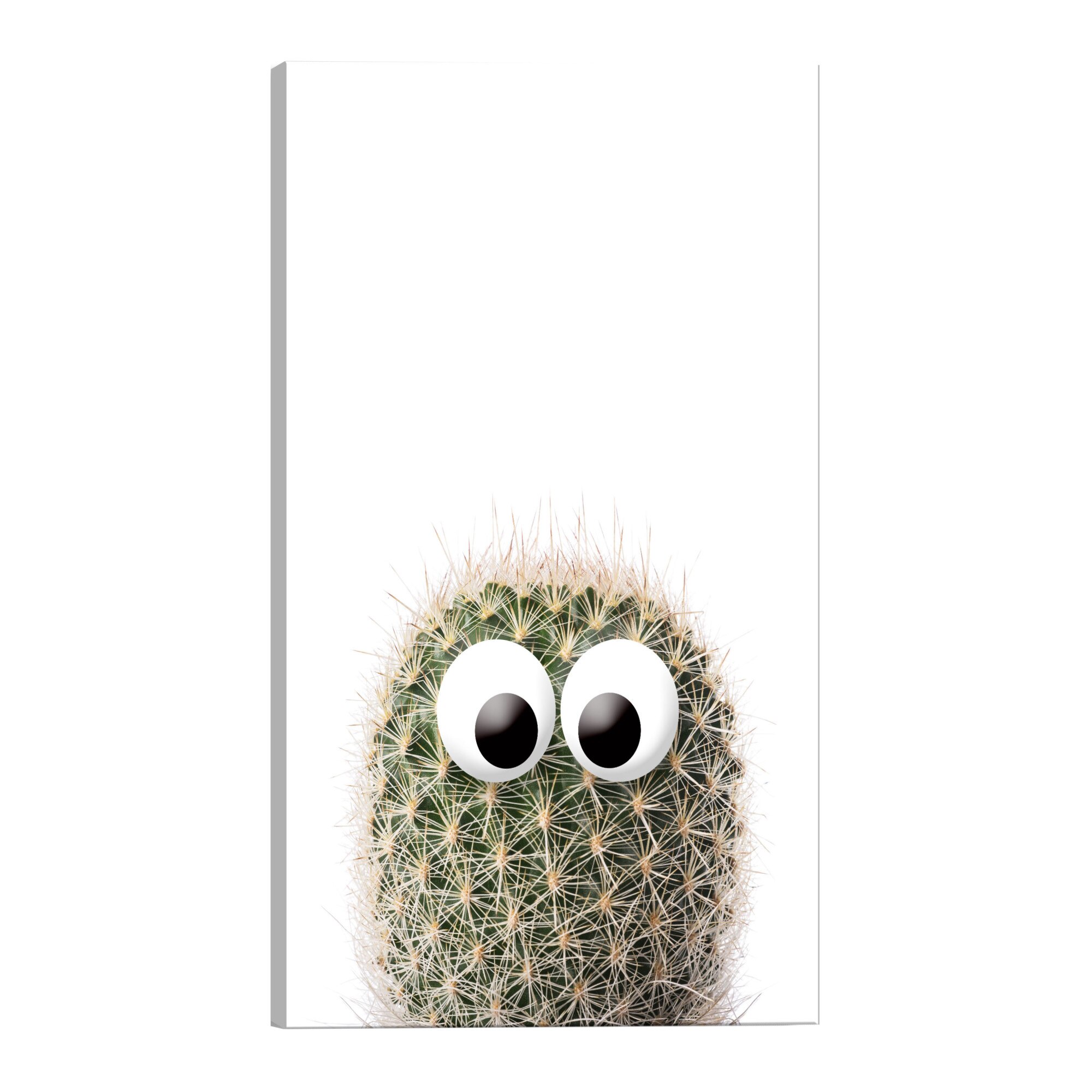 Tablou canvas - Cactus cu ochi - 80 x 120 cm