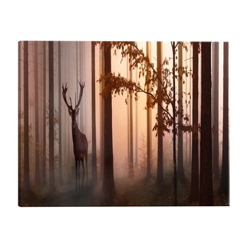 Tablou canvas - Dimineata 2 - 135 x 45 cm Tablou canvas - Dimineata 2 - 135 x 45 cm