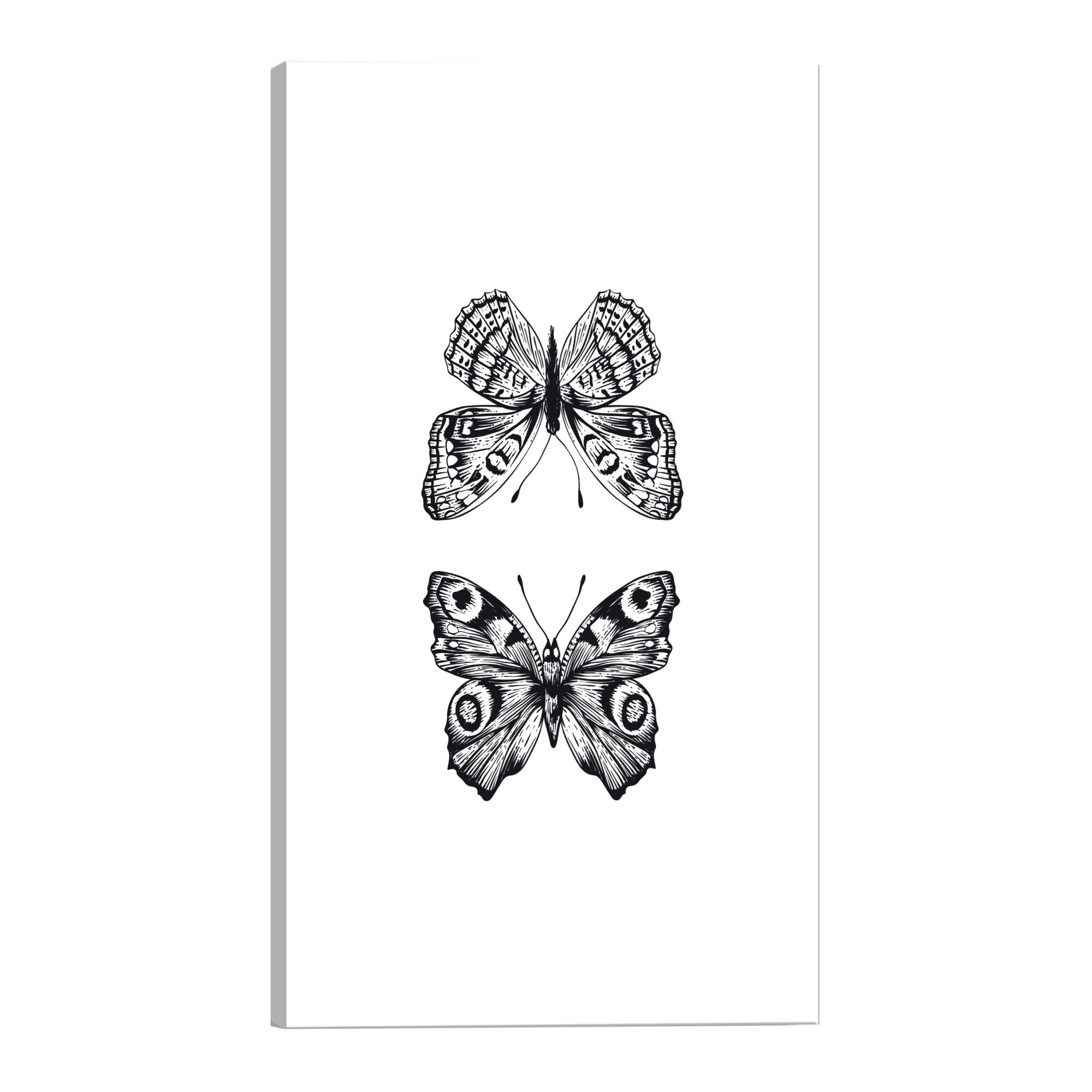 Tablou canvas - Doua fluturi - 40 x 60 cm