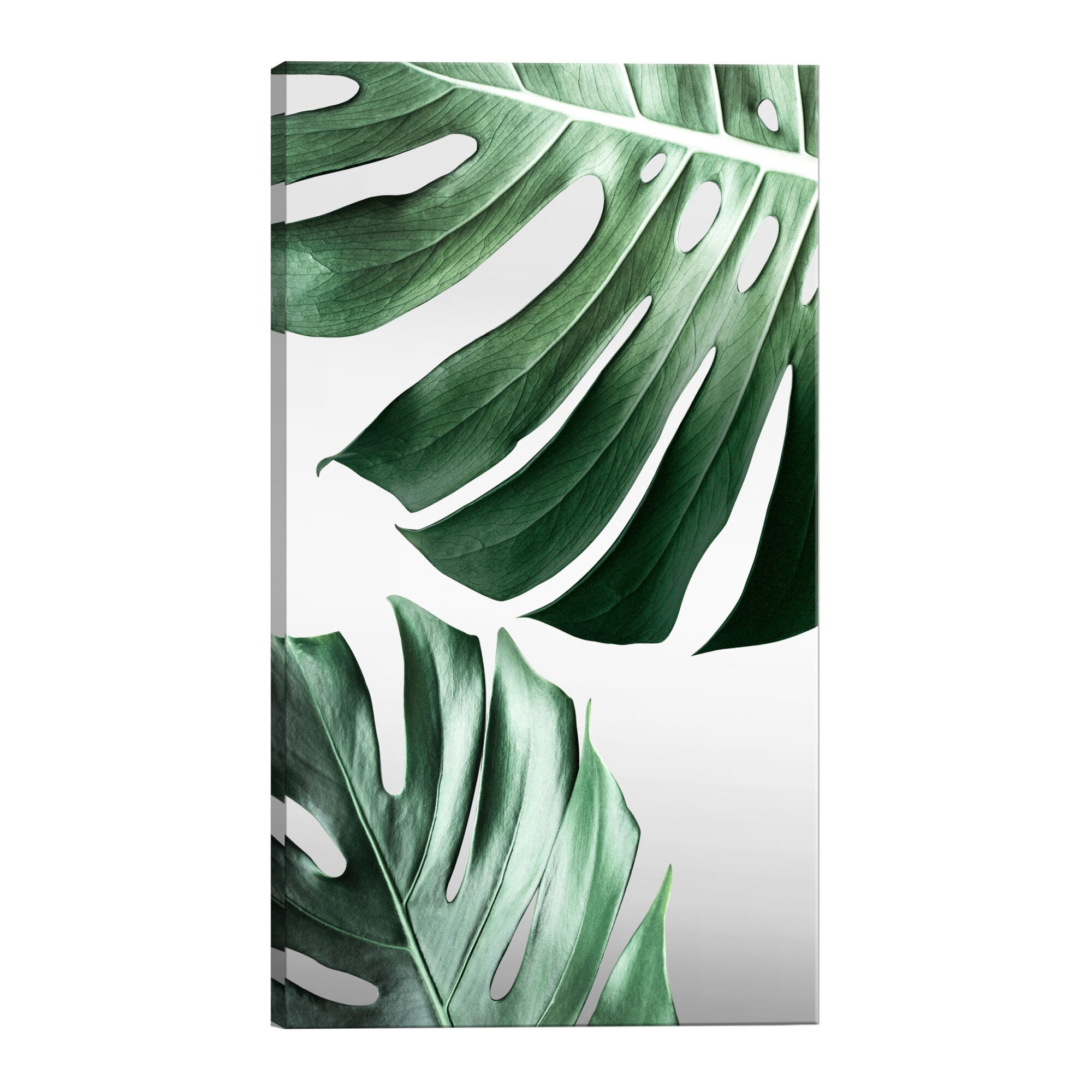 Tablou canvas - Frunze Monstera - 40 x 60 cm