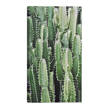 Tablou canvas - Gradina Cactus - 40 x 60 cm