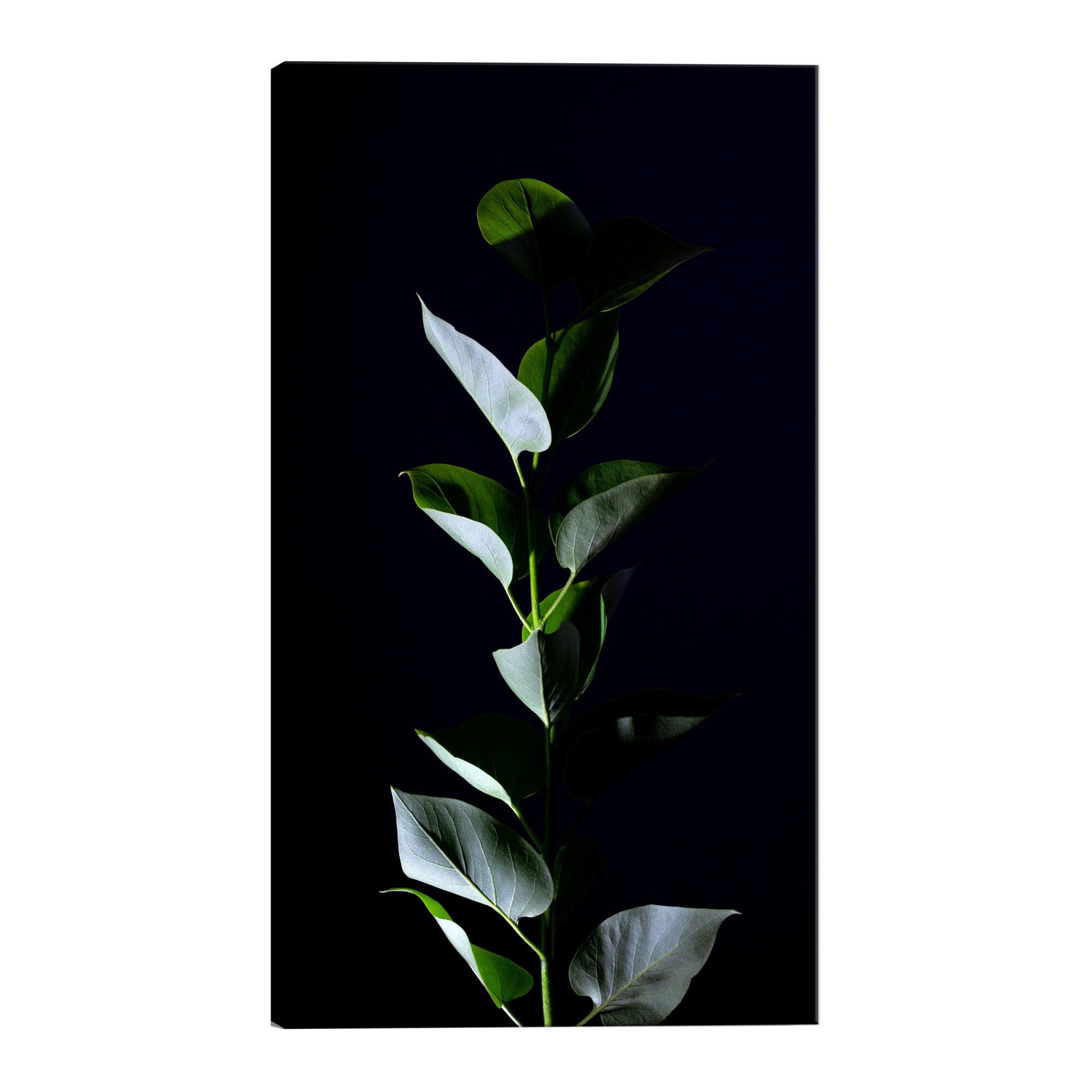 Tablou canvas - in lumina lunii - 40 x 60 cm
