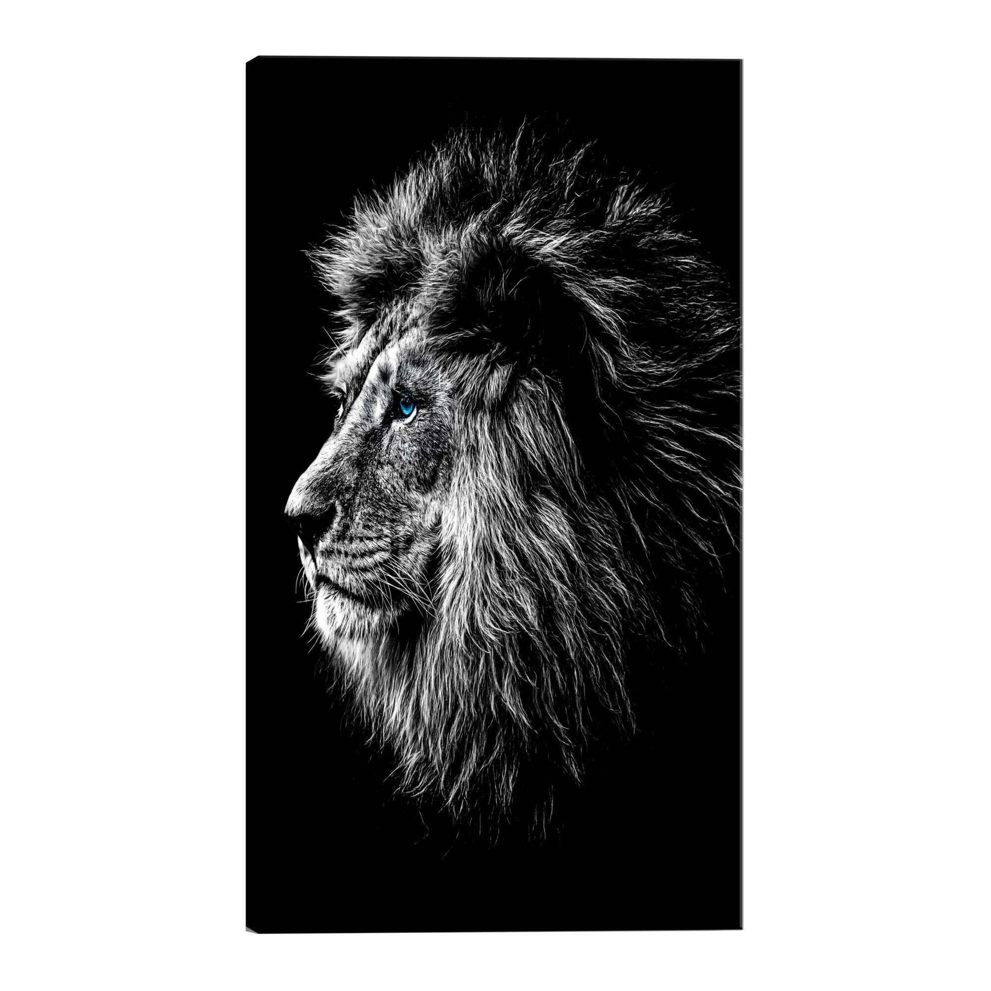 Tablou canvas - Leul cu ochi albastri - 40 x 60 cm