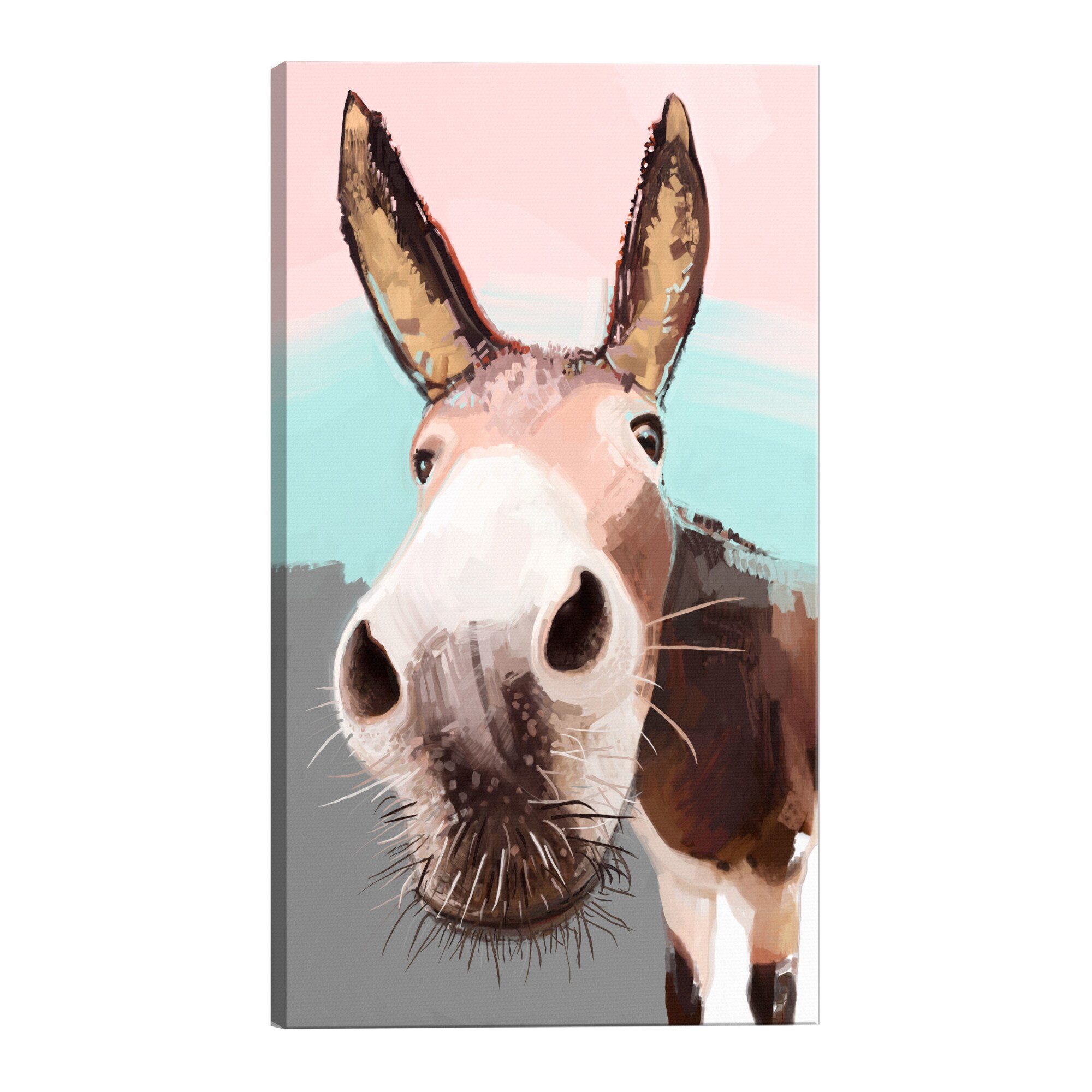 Tablou canvas - Magar curios - 40 x 60 cm