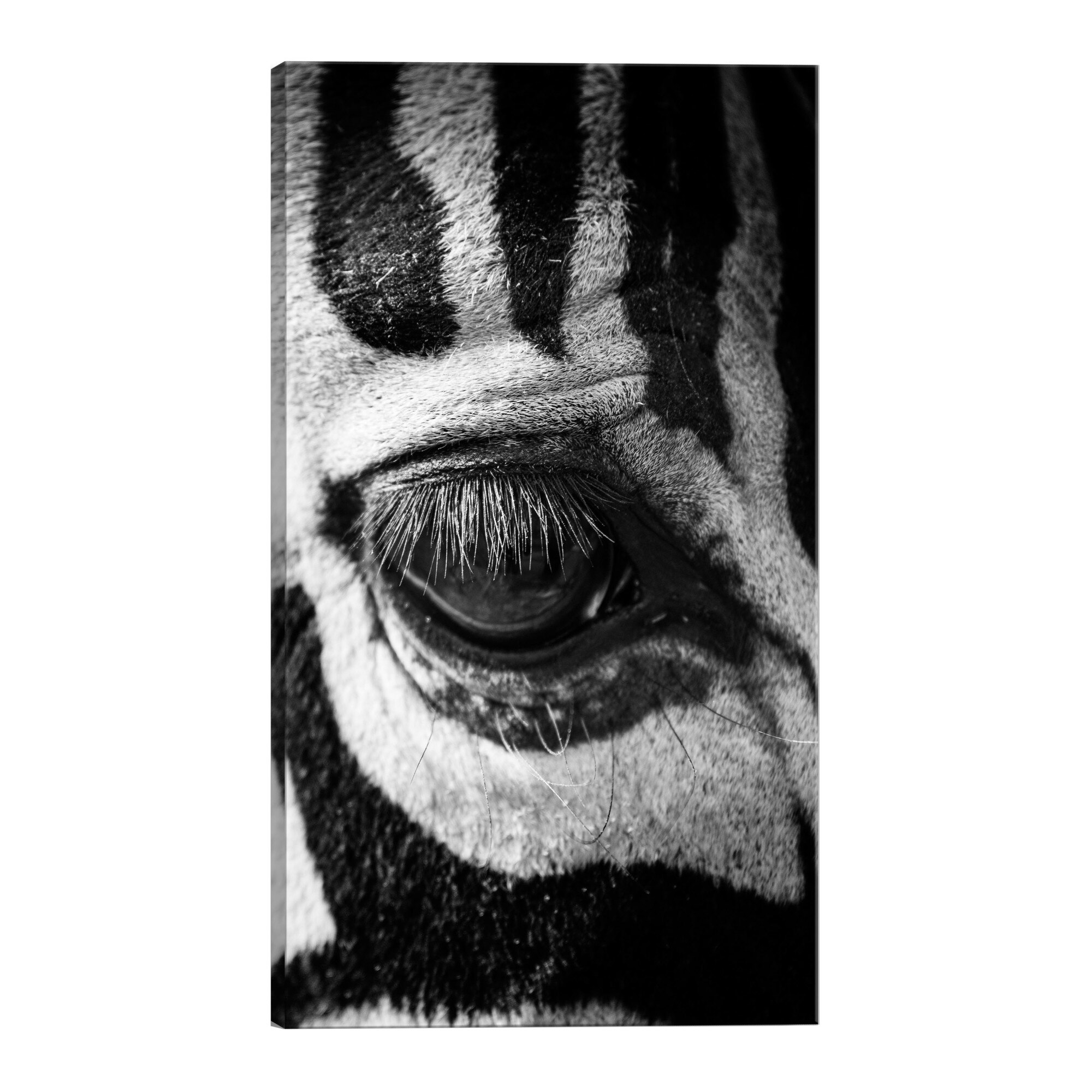 Tablou canvas - Ochi de zebra - 40 x 60 cm