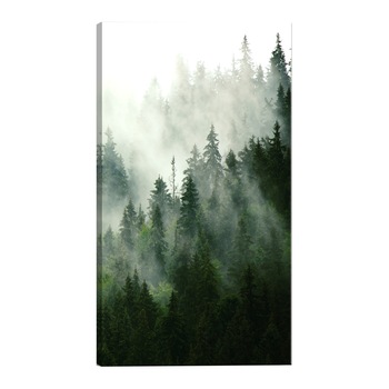 Tablou canvas - Padure de conifere - 40 x 60 cm