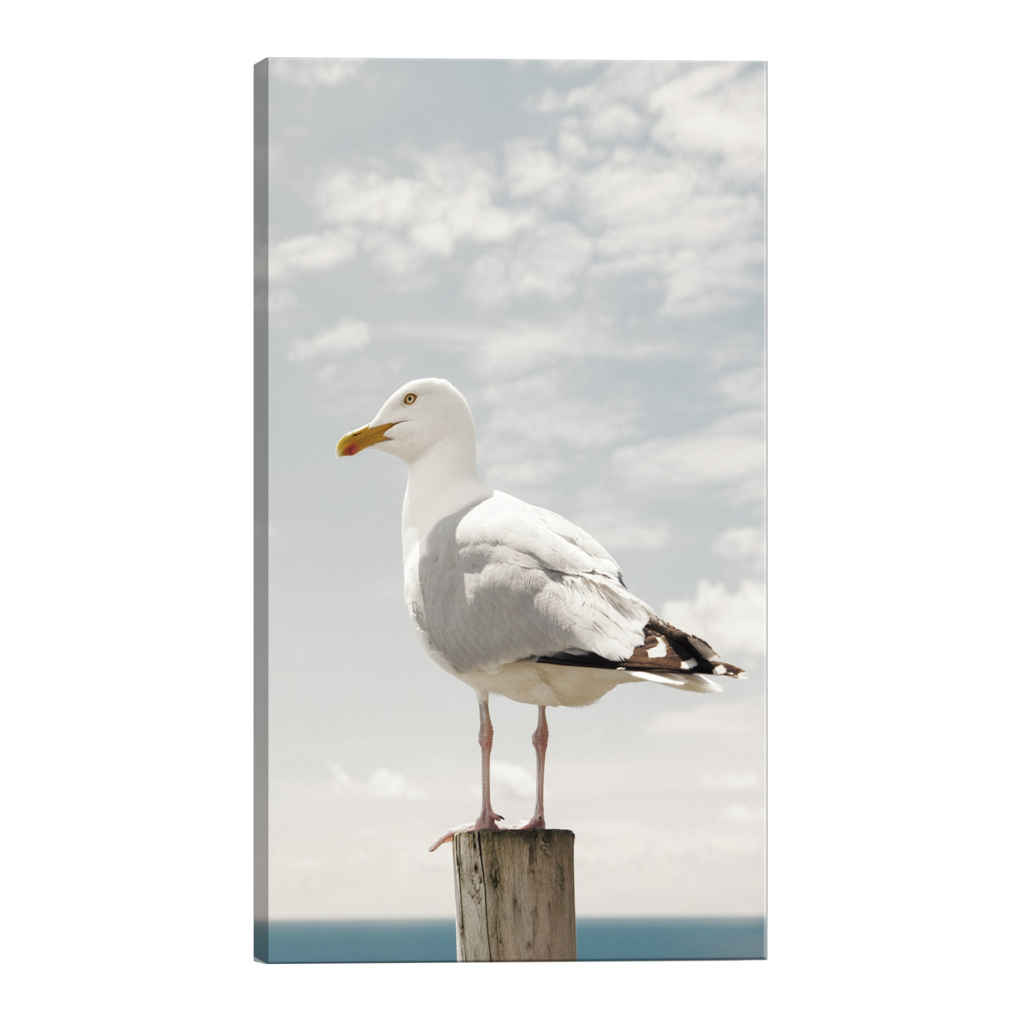 Tablou canvas - PescaruS de mare - 60 x 90 cm