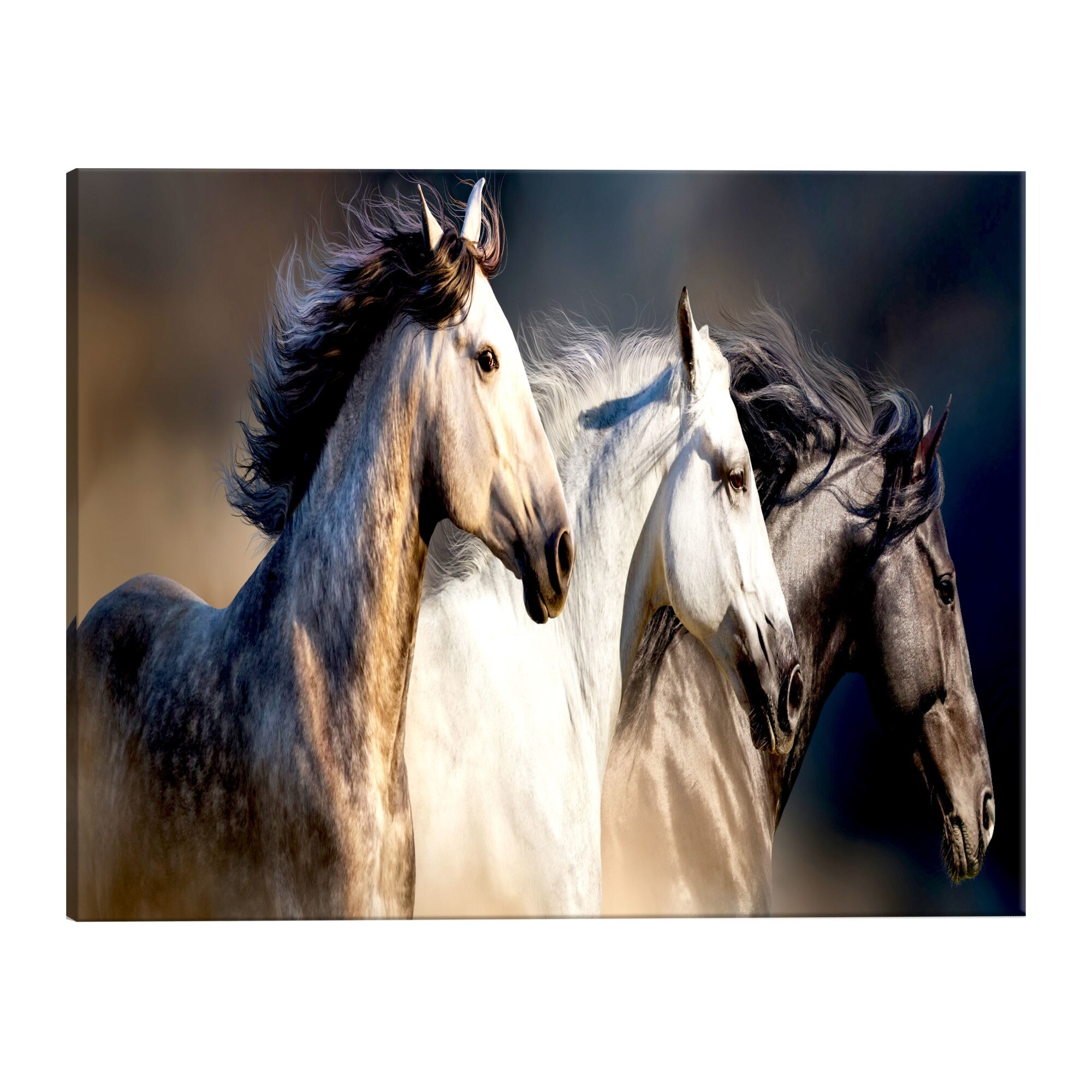 Tablou canvas - Fiii vantului - 135 x 45 cm