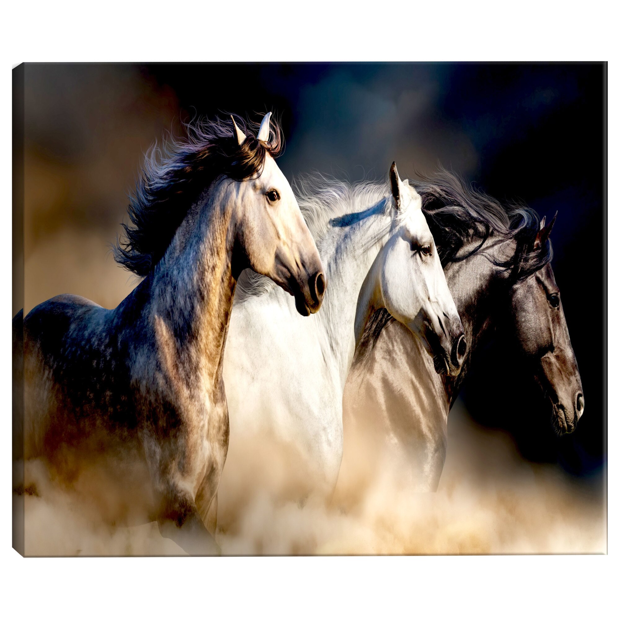 Tablou canvas - Fiii vantului - 120 x 60 cm