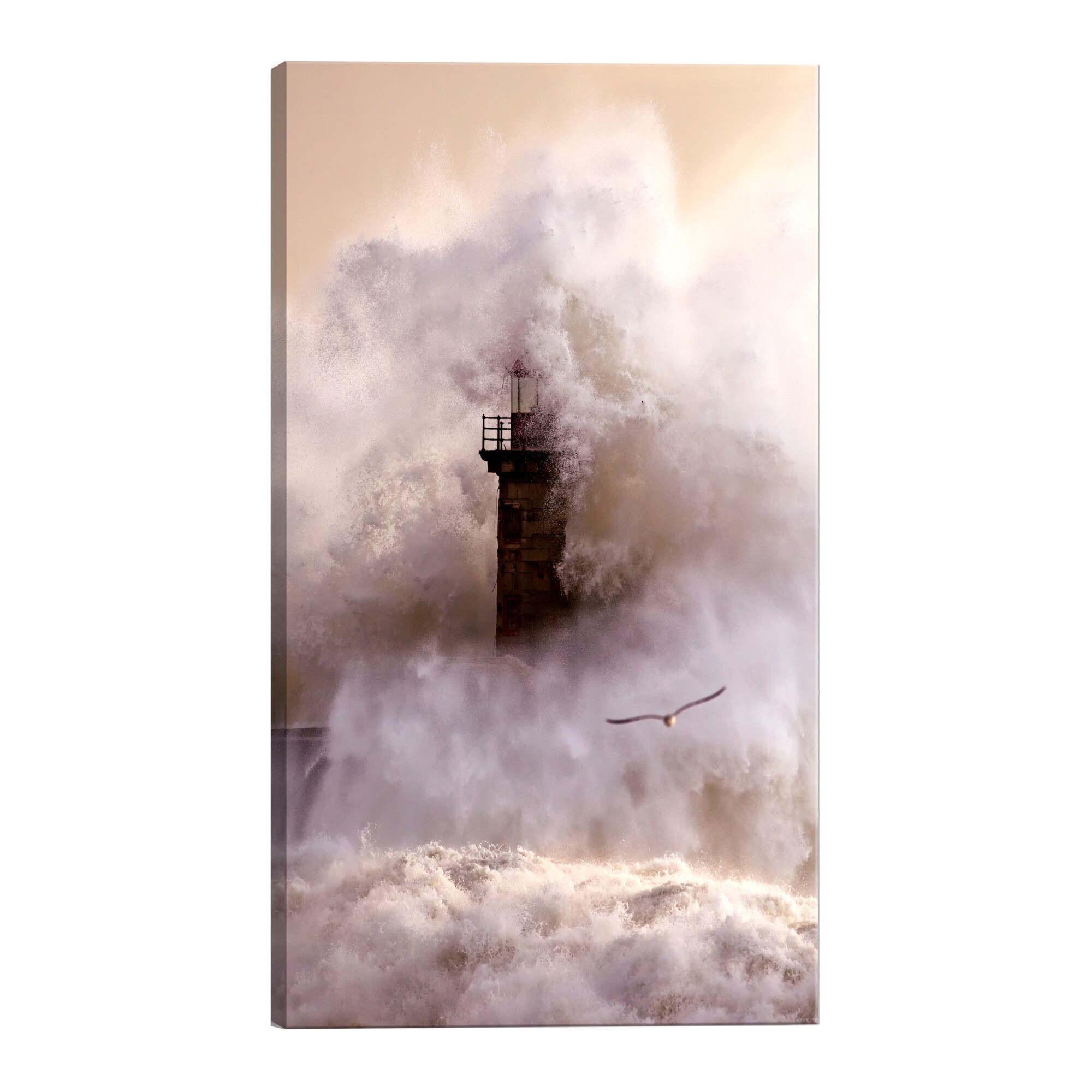 Tablou canvas - Furtuna - 80 x 120 cm