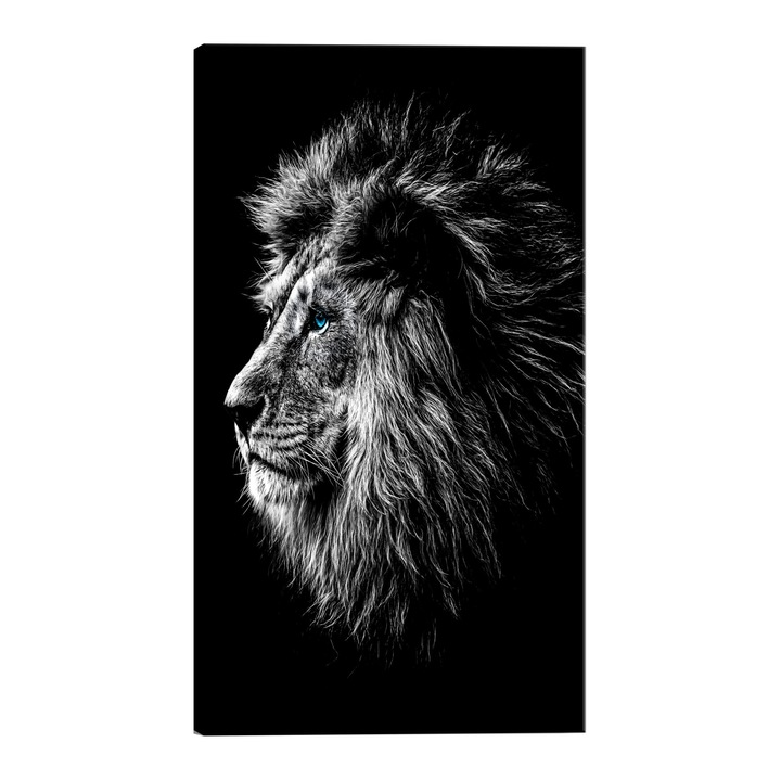 Tablou canvas - Leul cu ochi albastri - 60 x 90 cm