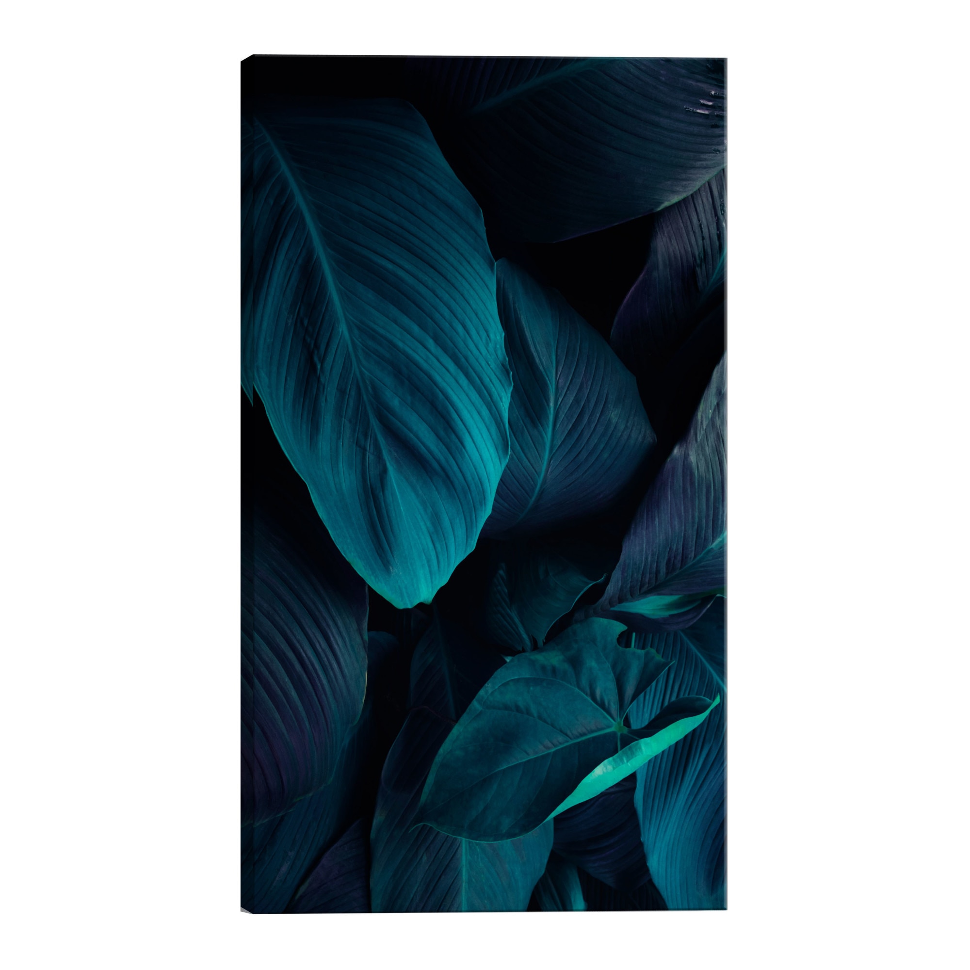 Tablou canvas - Noaptea in jungla - 120 x 80 cm