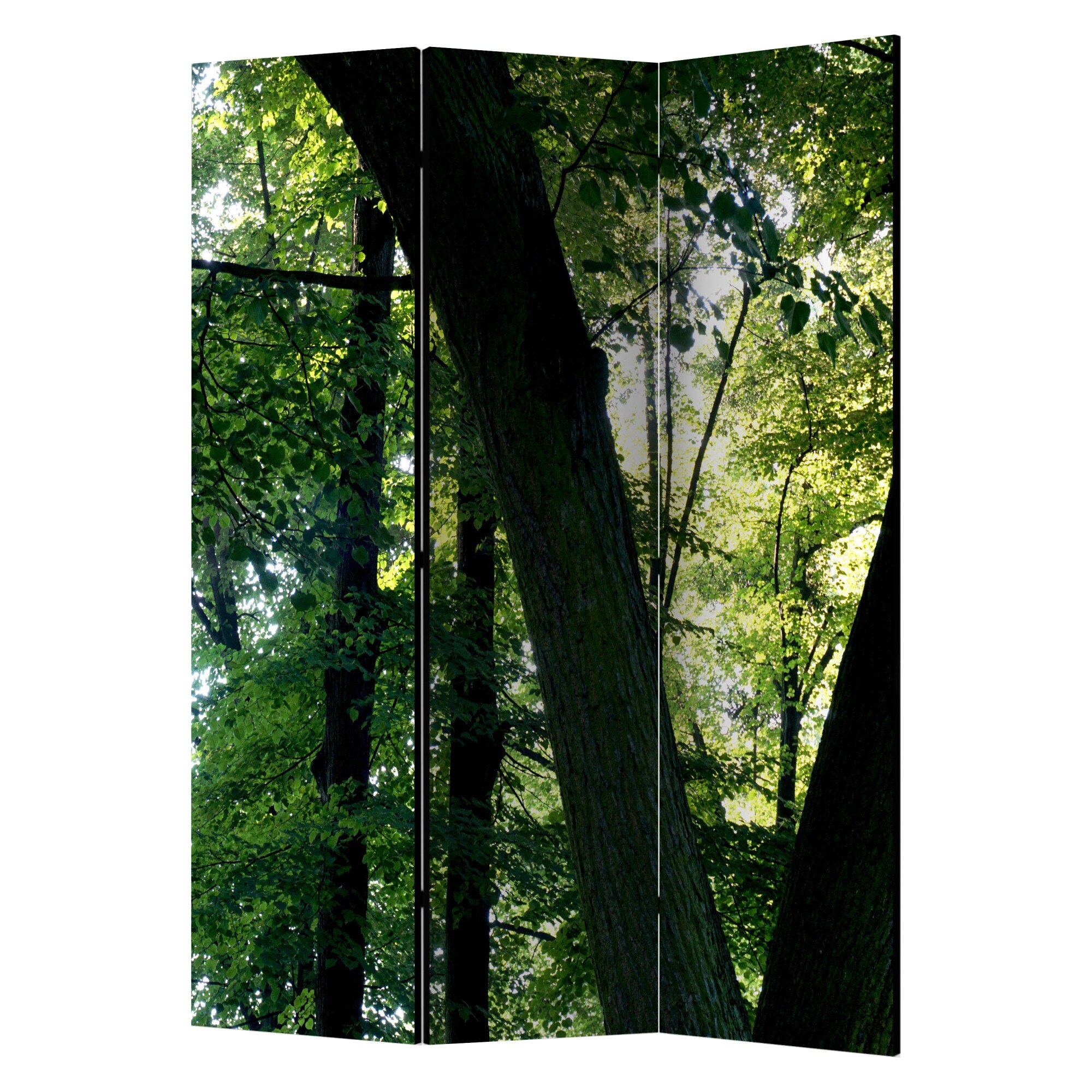 Paravan din 3 parti - Primavara in parc - 135 x 172 cm