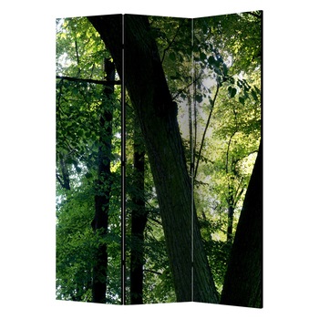 Paravan din 3 parti - Primavara in parc - 135 x 172 cm Paravan din 3 parti - Primavara in parc - 135 x 172 cm