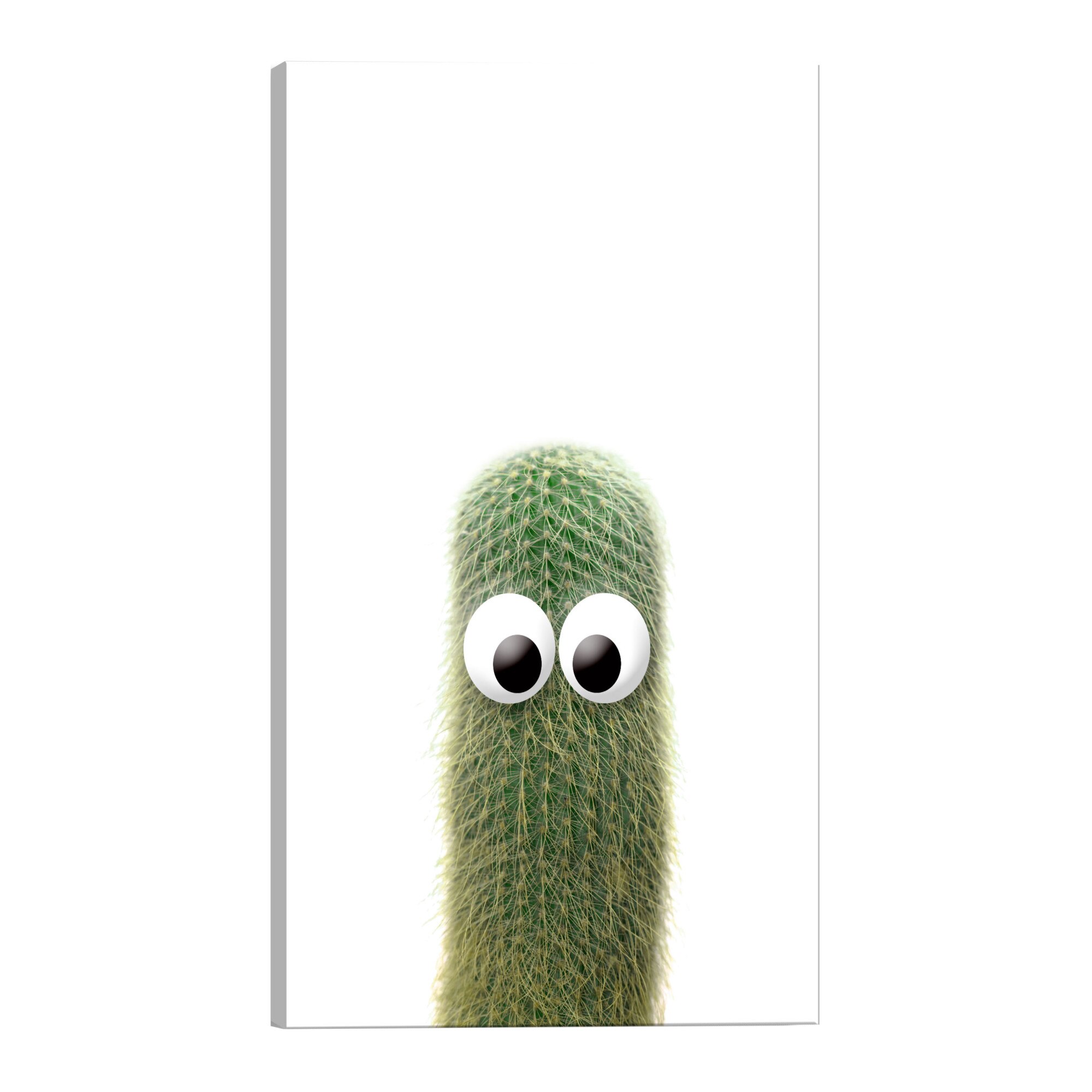 Tablou canvas - Prickly Friend - 80 x 120 cm