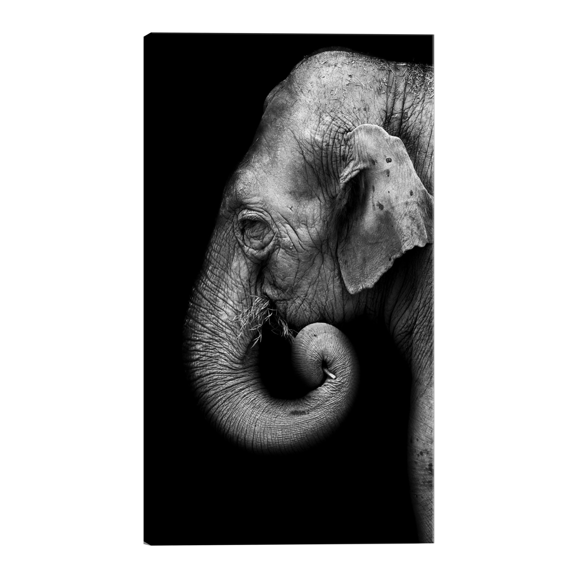 Tablou canvas - Portret de elefant - 60 x 90 cm