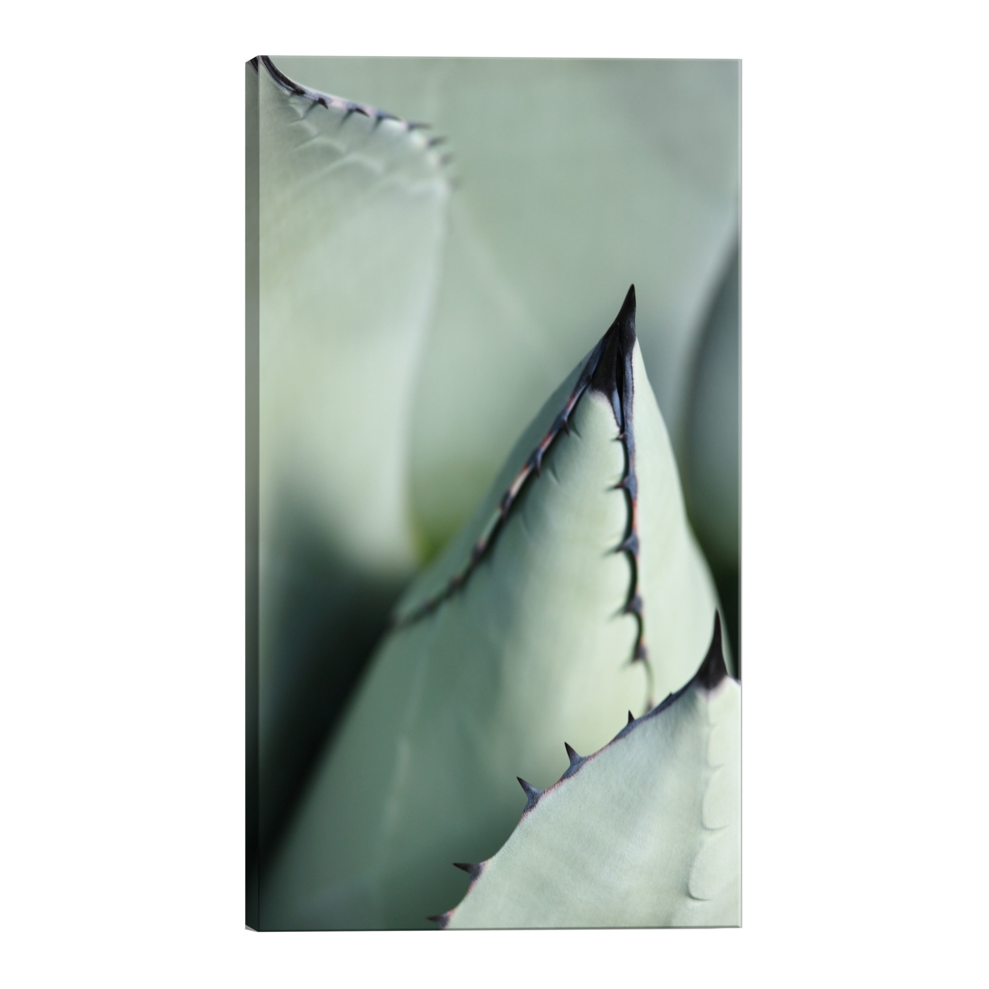 Tablou canvas - Spik-uri verzi - 60 x 90 cm