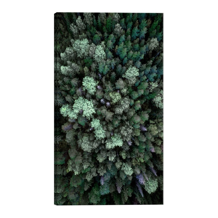 Tablou canvas - Zburand peste padure - 80 x 120 cm