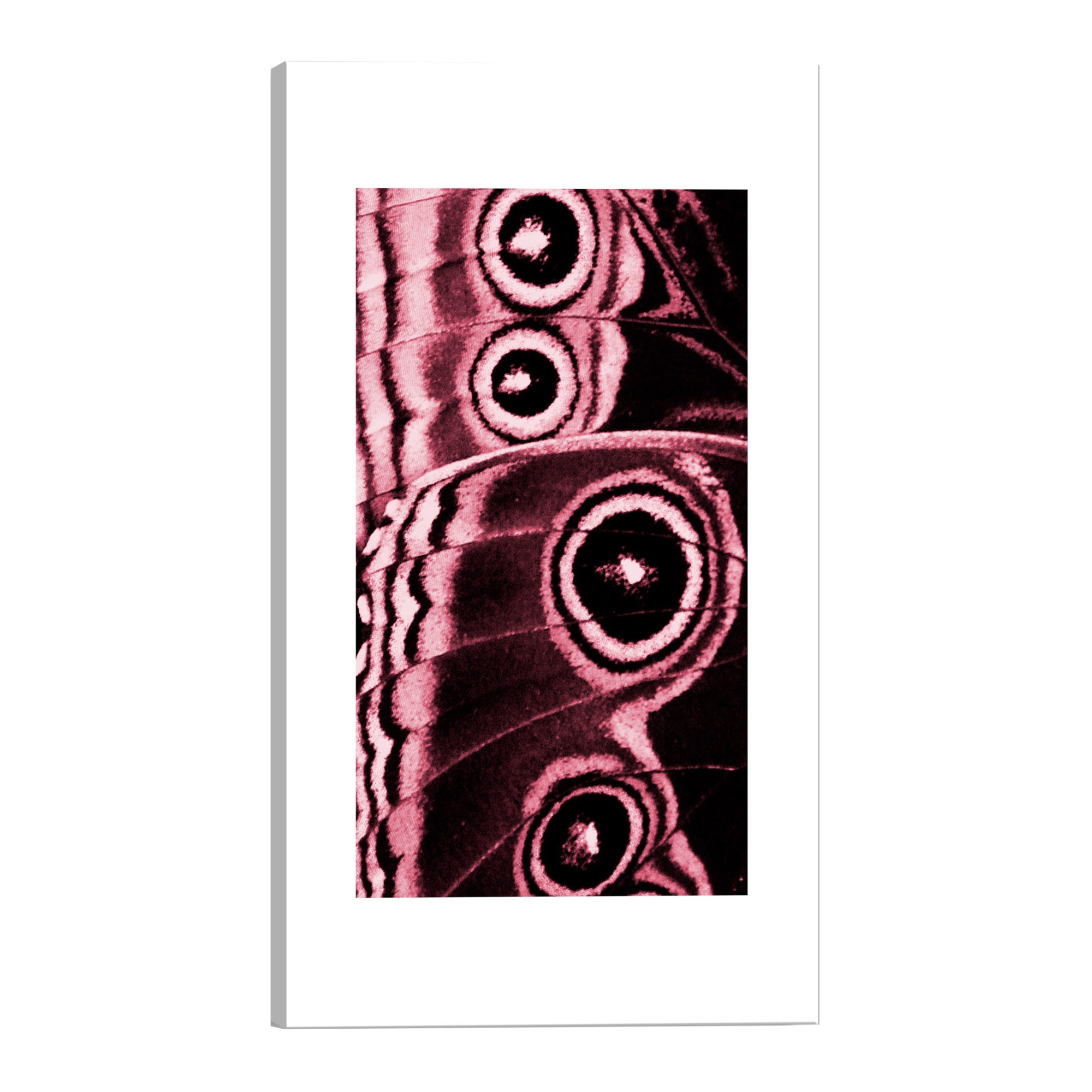 Tablou canvas - Subtilitatea naturii - 60 x 90 cm