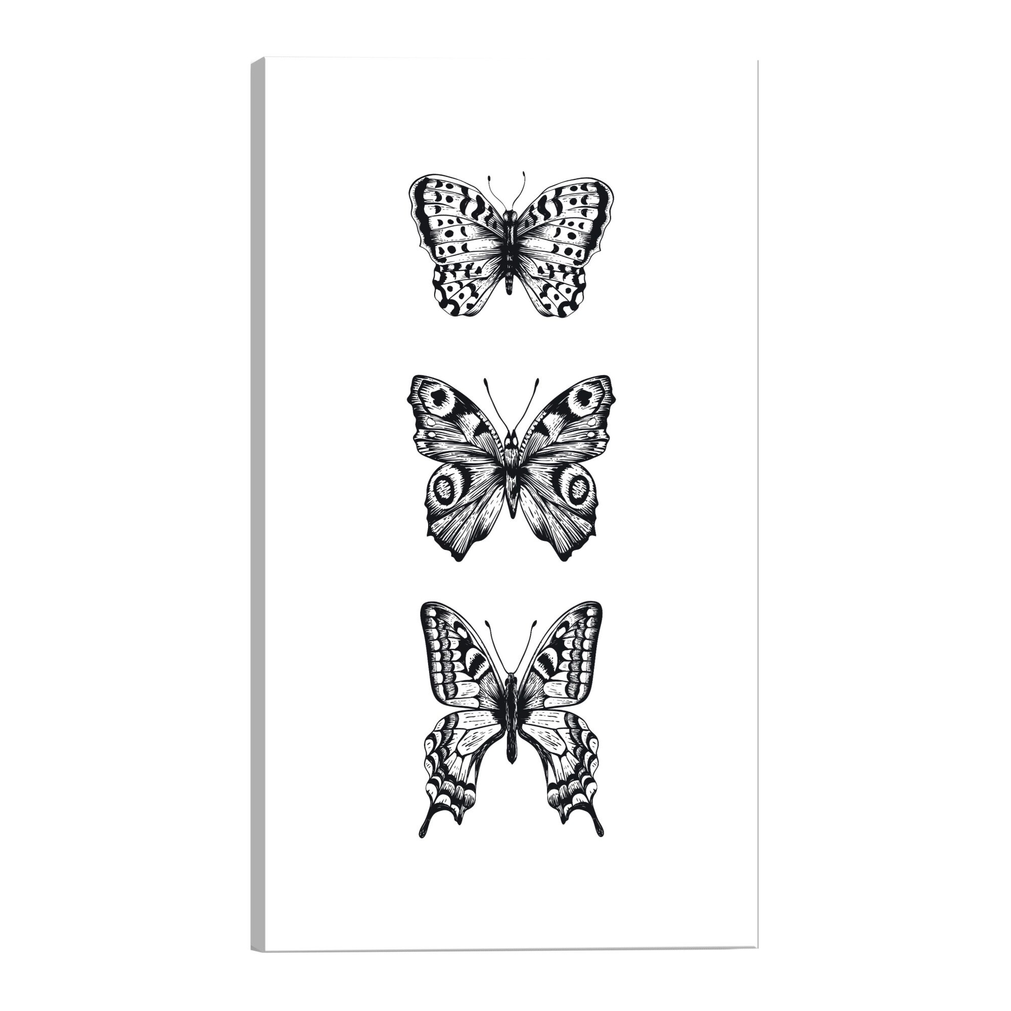 Tablou canvas - Trei fluturi - 40 x 60 cm