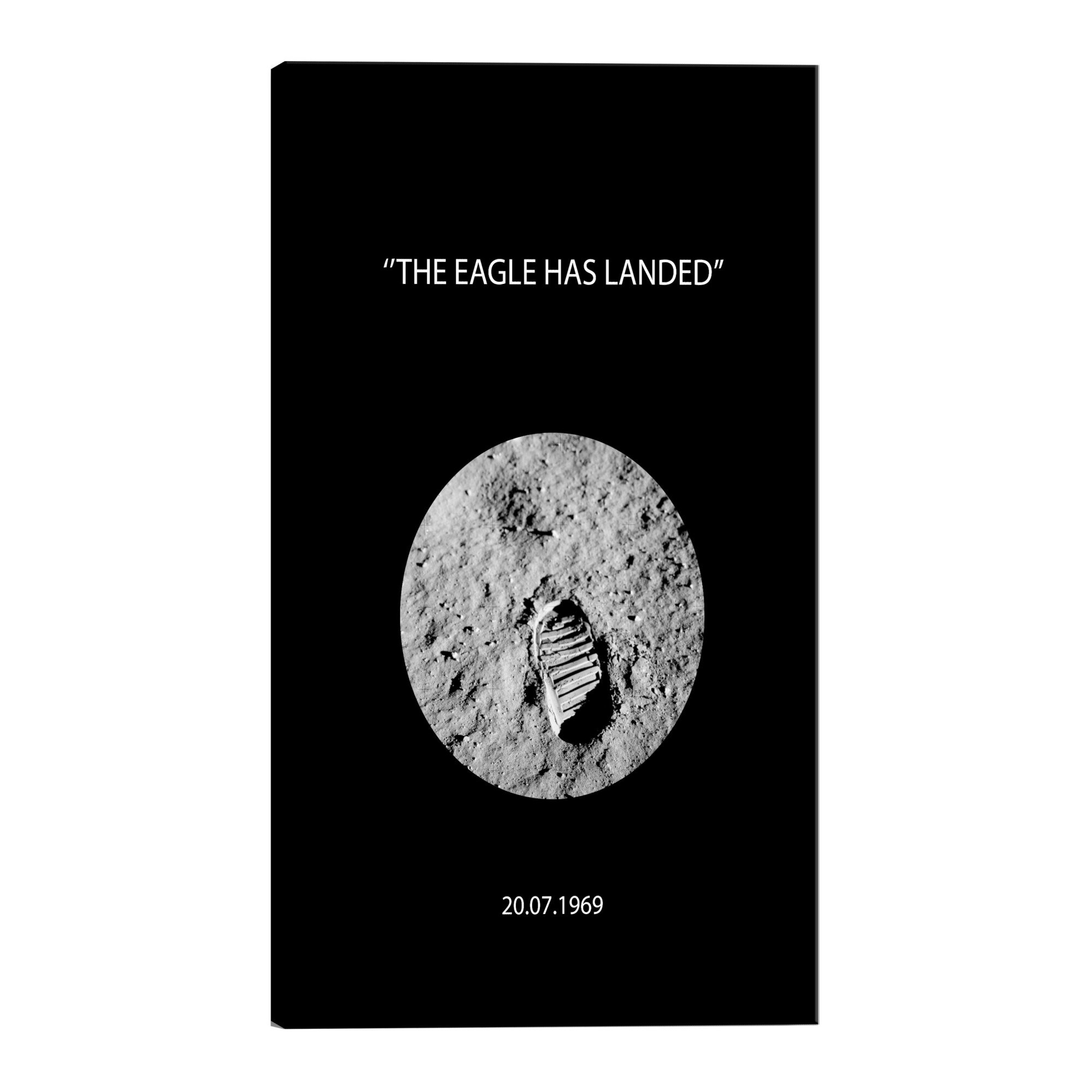 Tablou canvas - Vulturul a aterizat - 40 x 60 cm