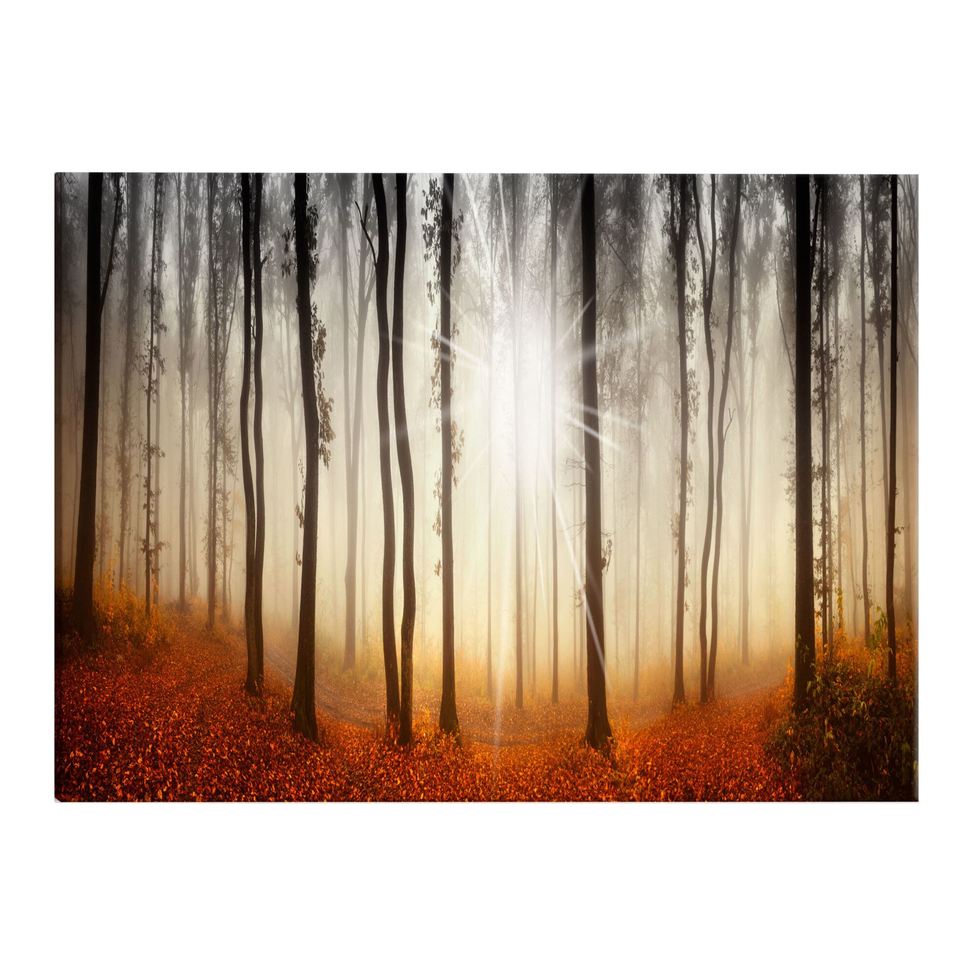 Tablou canvas - Ceata de toamna - 135 x 45 cm - Ceata de toamna 1 - 135 x 45 cm