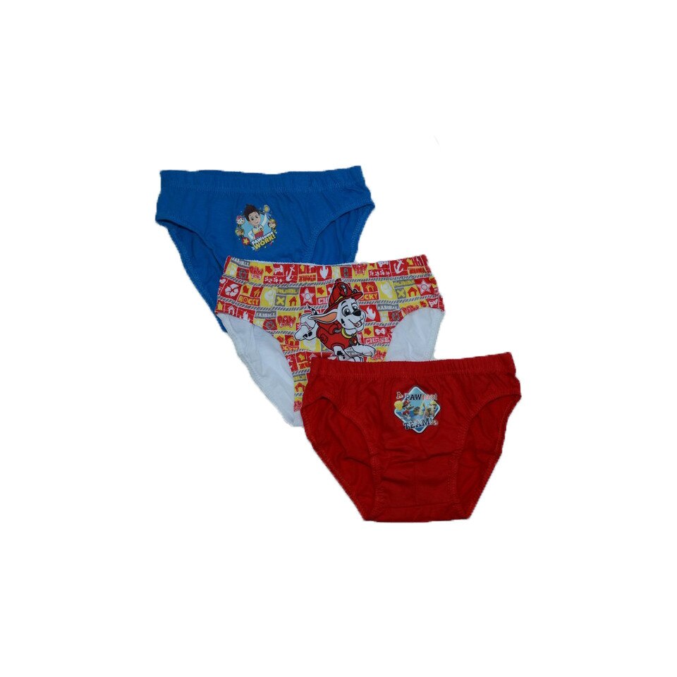 Set 3 chiloti baieti Sun City Patrol DQE3095, Multicolor