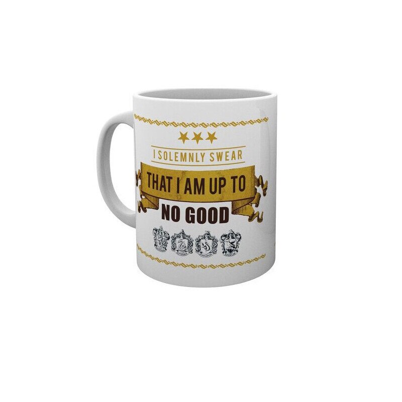 Cana Harry Potter - I Solemnly Swear , 300ml, Multicolor