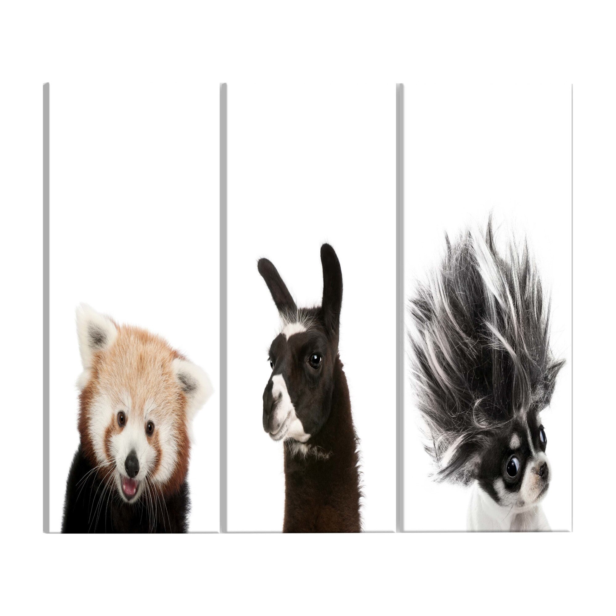 Tablou canvas 3 piese - Animale prietenoase - 60 x 30 cm