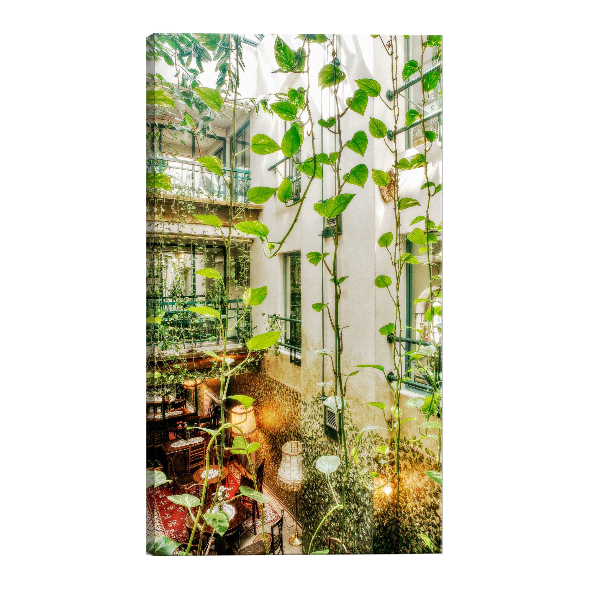 Tablou canvas - Cracovia Cafenea cu Ivy - 40 x 60 cm