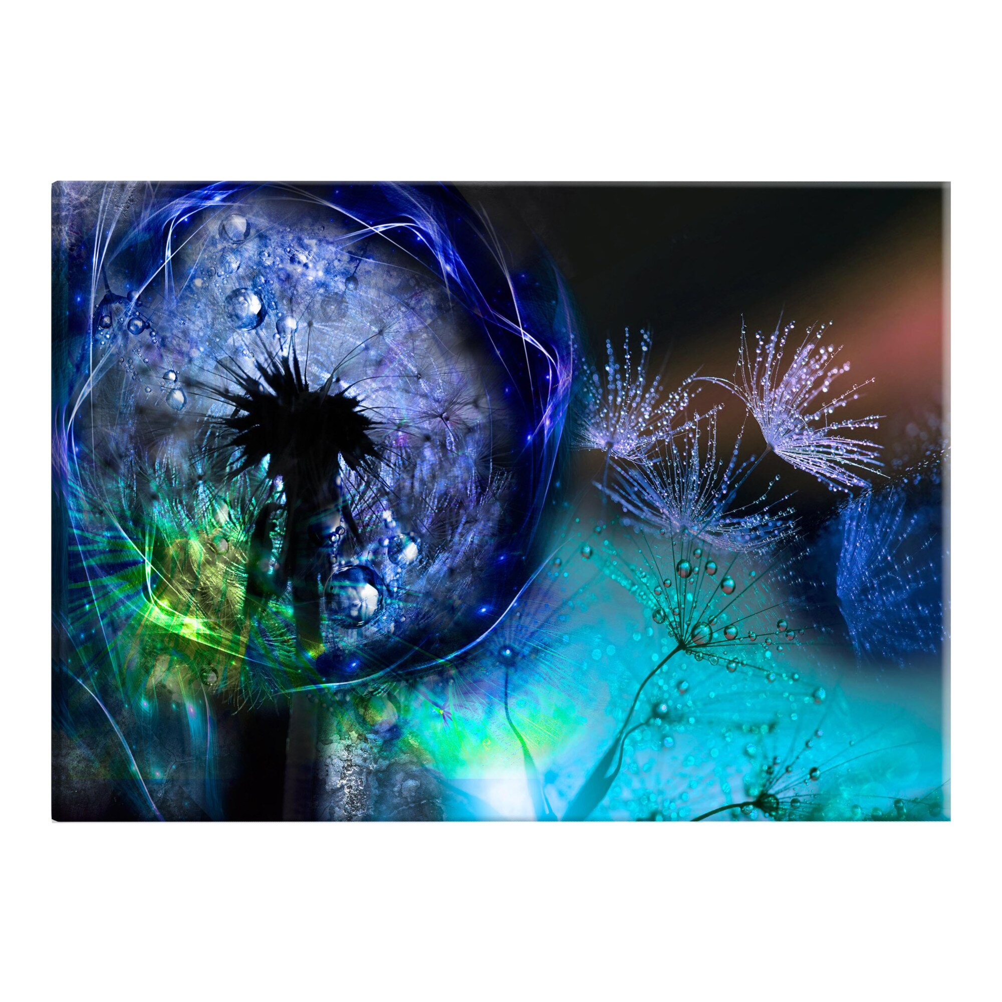 Tablou canvas - Dandelions Blue Glow - 120 x 80 cm