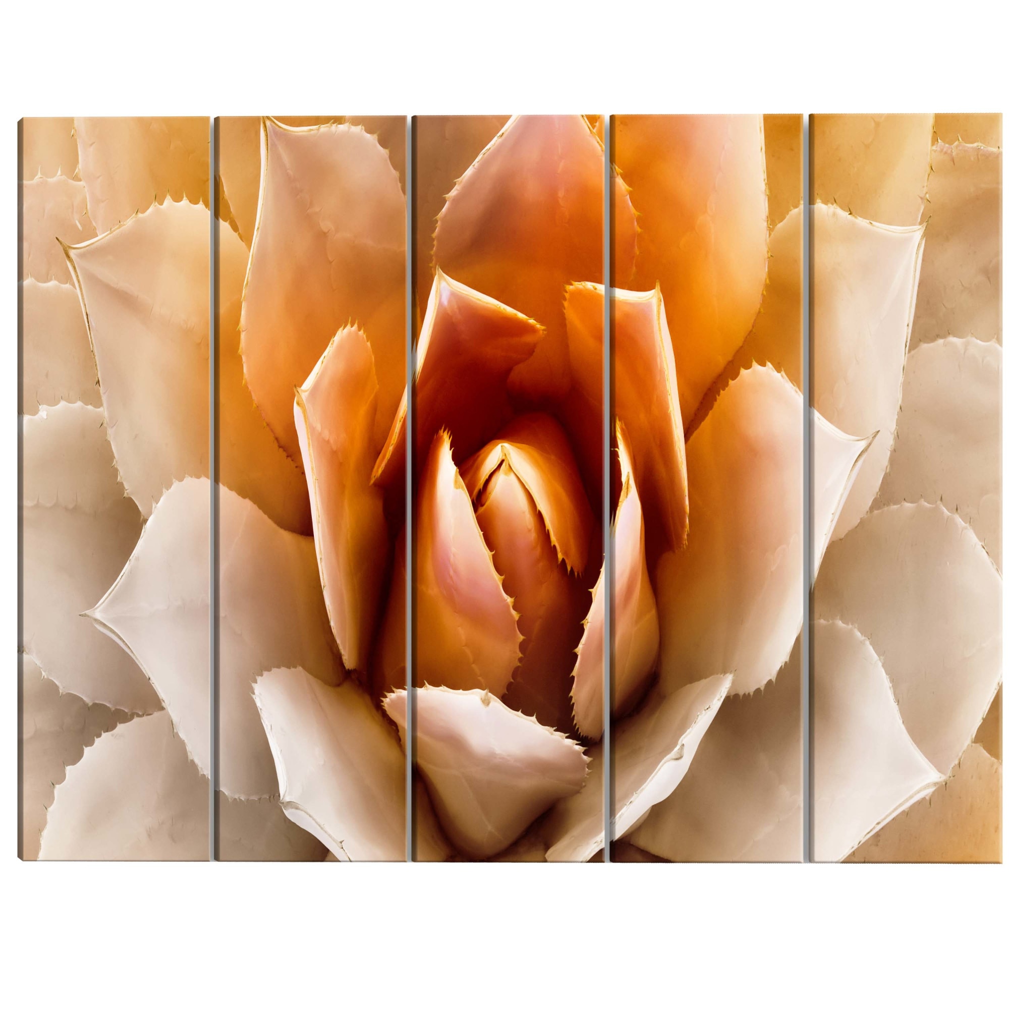 Tablou canvas 5 piese - Agava 1 - 225 x 90 cm