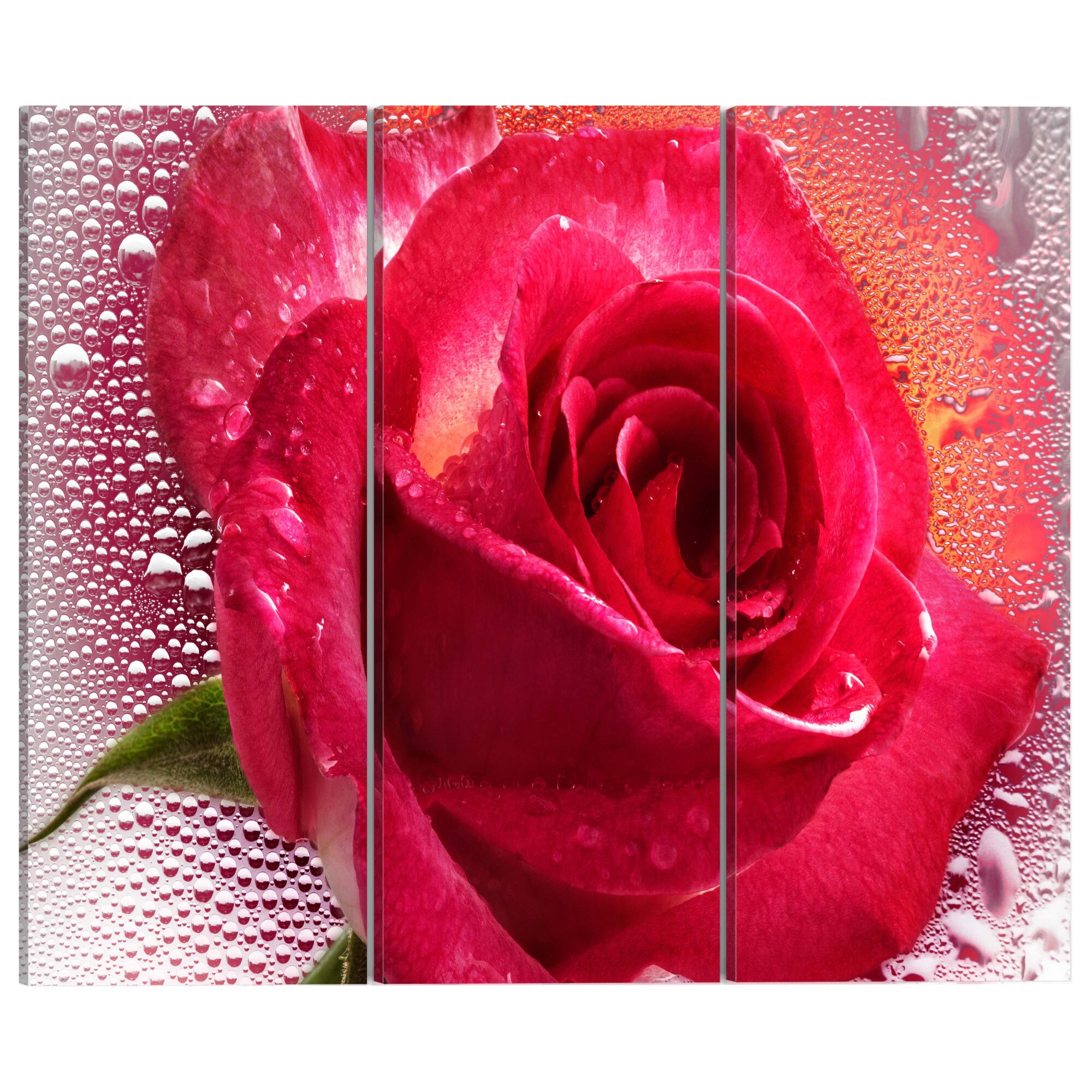 Tablou canvas 3 piese - Lady Rose triptic - 120 x 80 cm