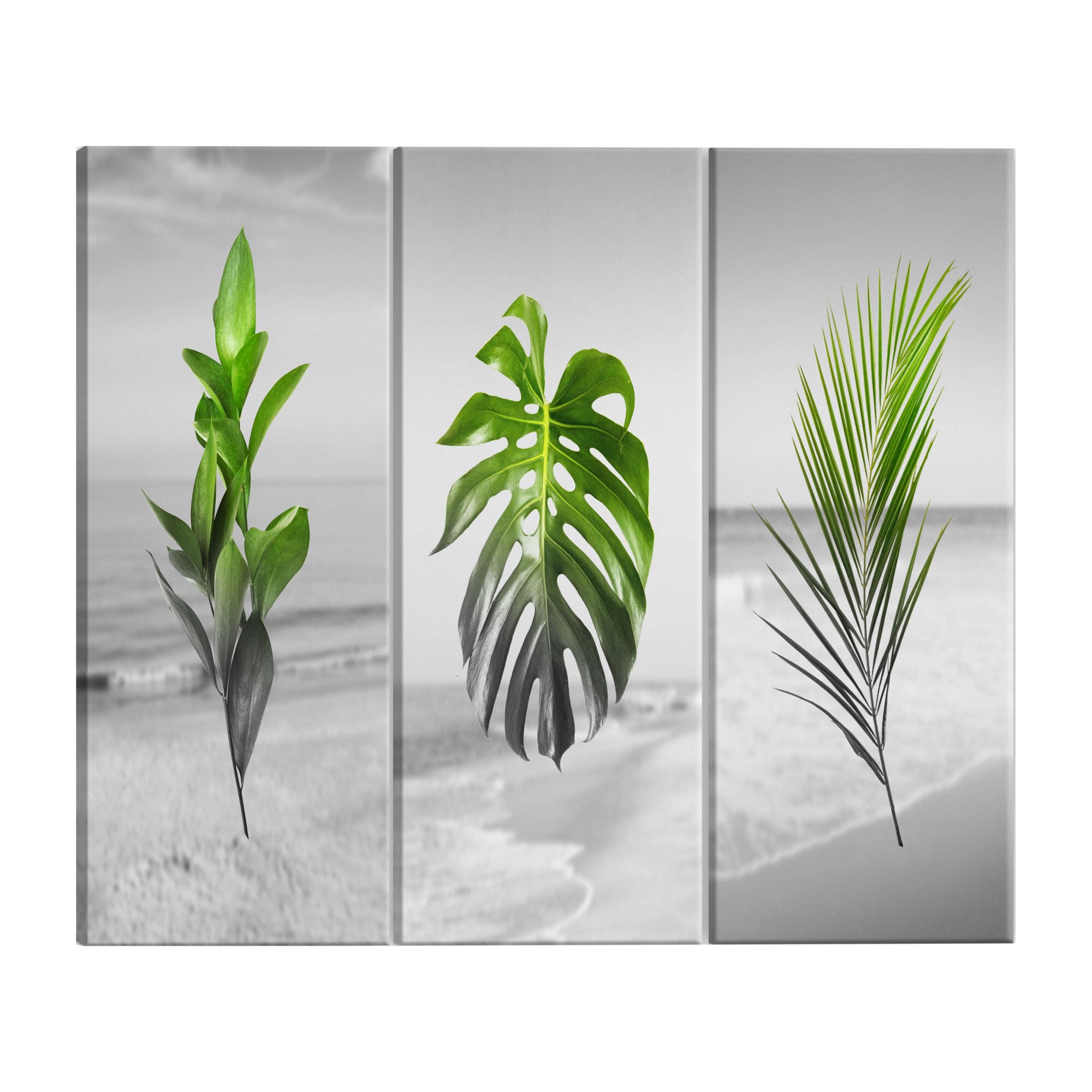 Tablou canvas 3 piese - Plante - 60 x 30 cm