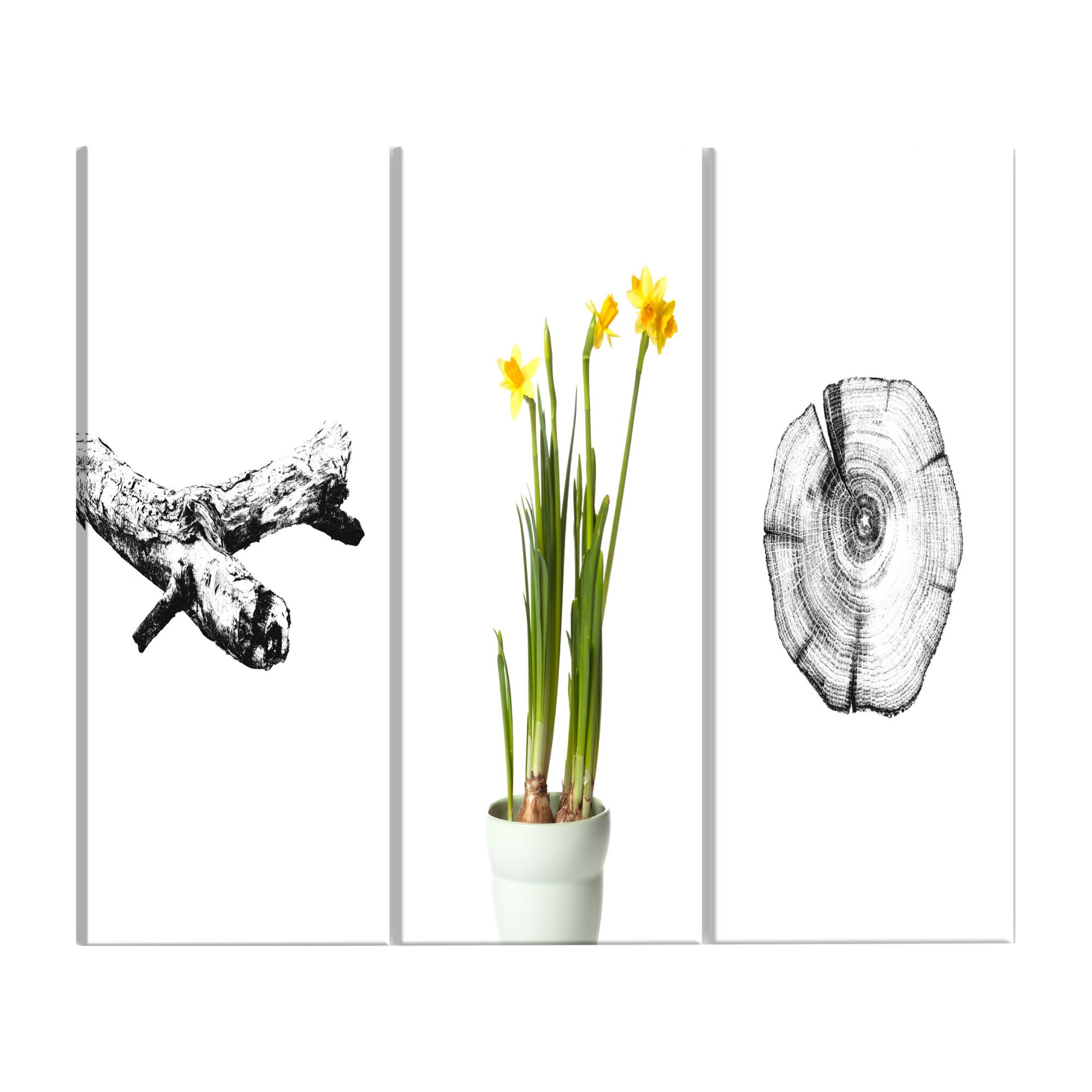 Tablou canvas 3 piese - Natura - 120 x 60 cm